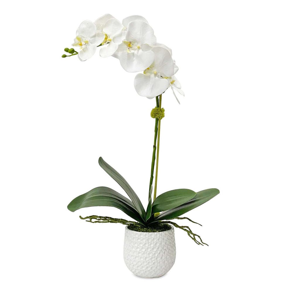 Uttermost Cami Pot