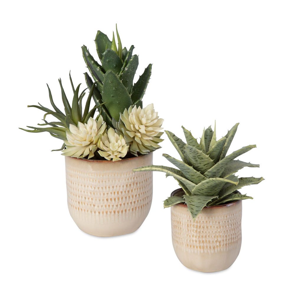 Uttermost Seaside Succulents - Set of 2