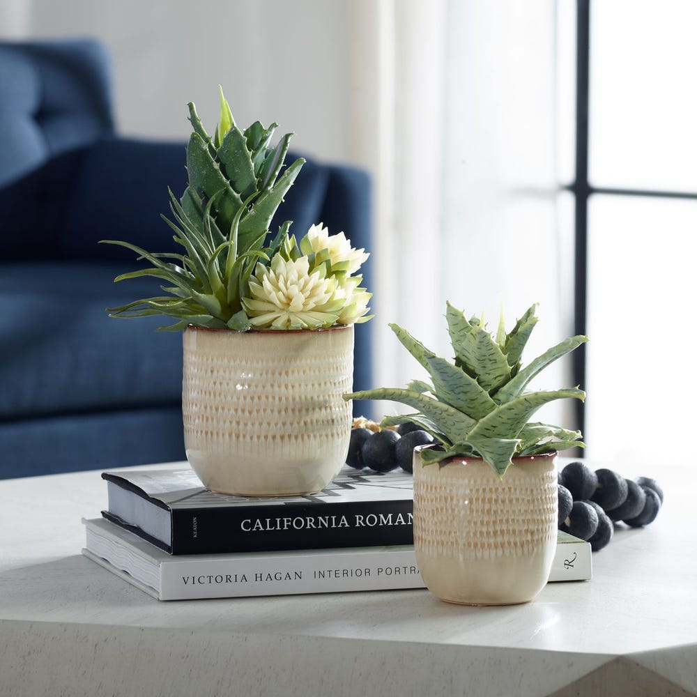 Uttermost Seaside Succulents - Set of 2