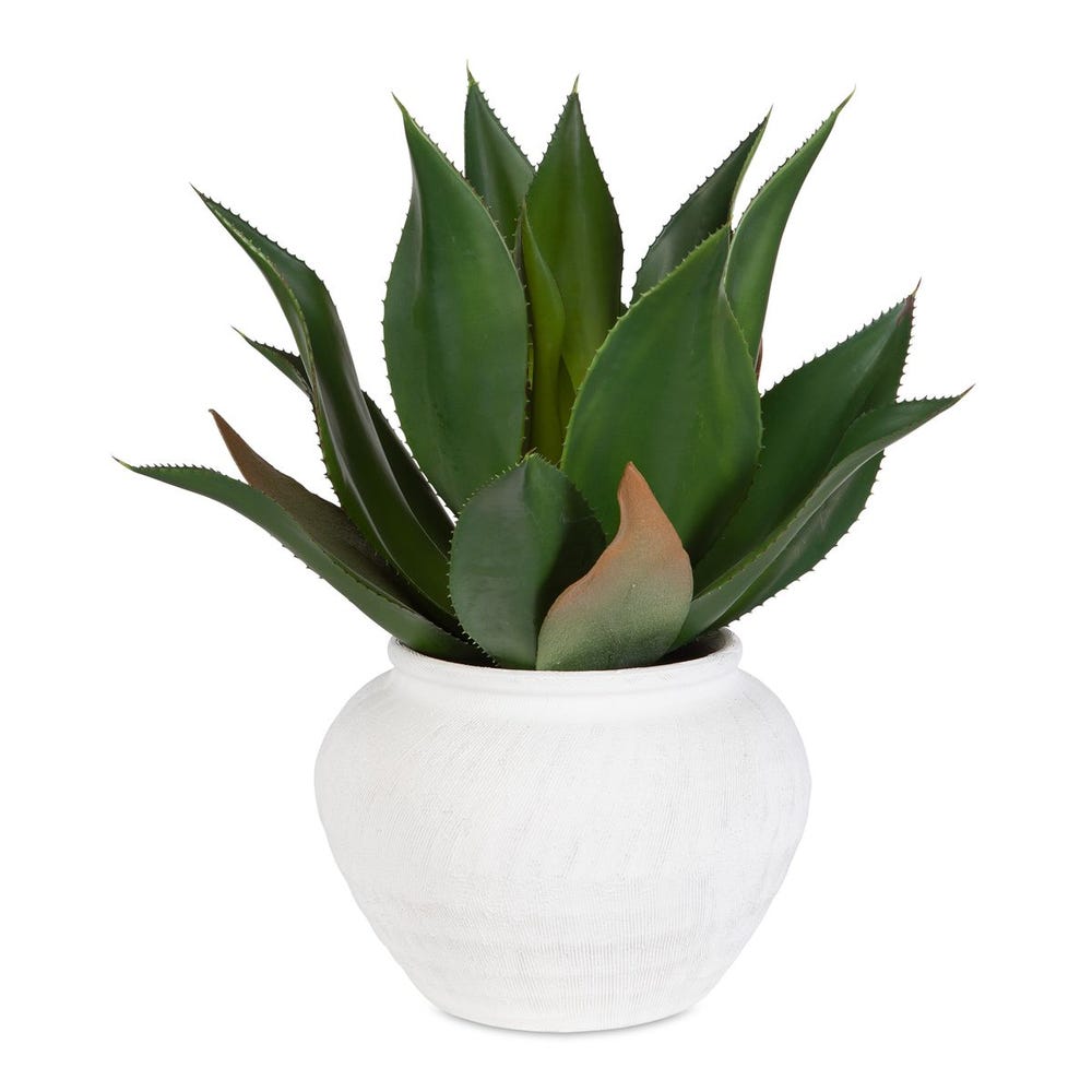 Uttermost Tierra Agave Centerpiece with Vase