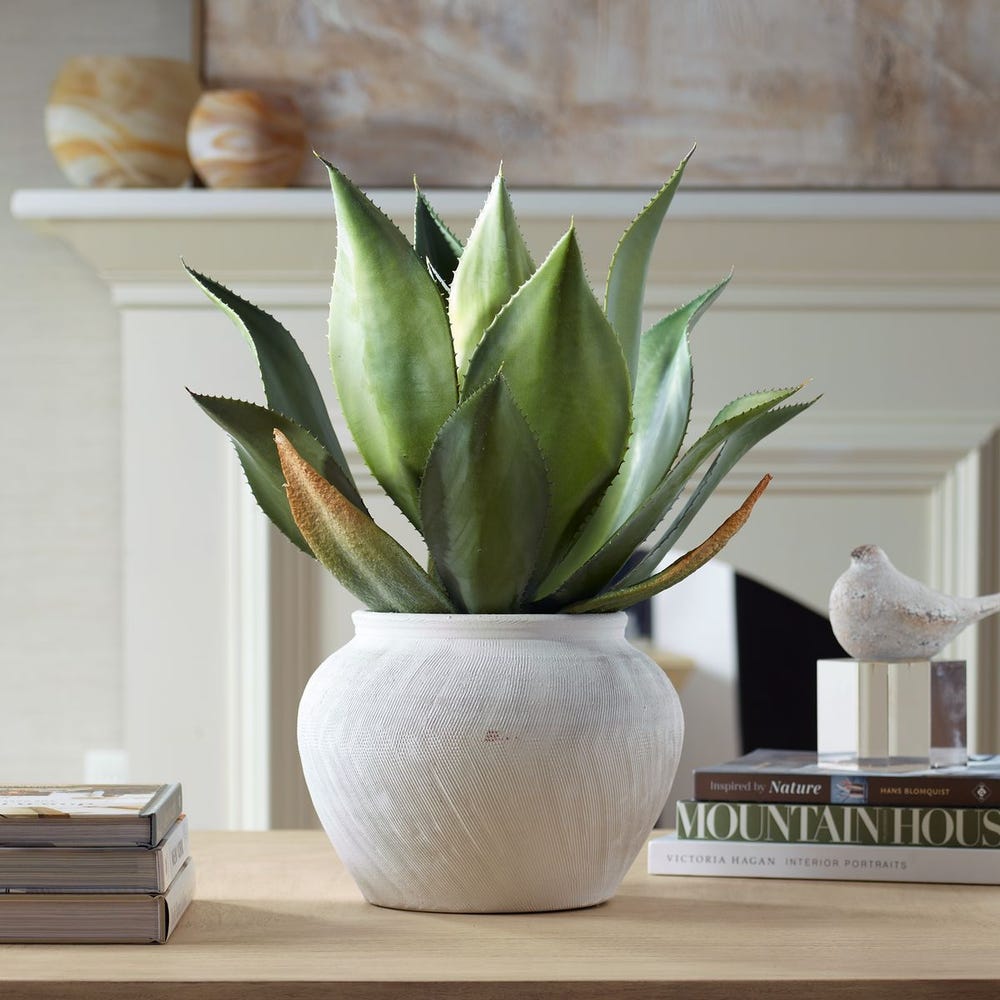 Uttermost Tierra Agave Centerpiece with Vase