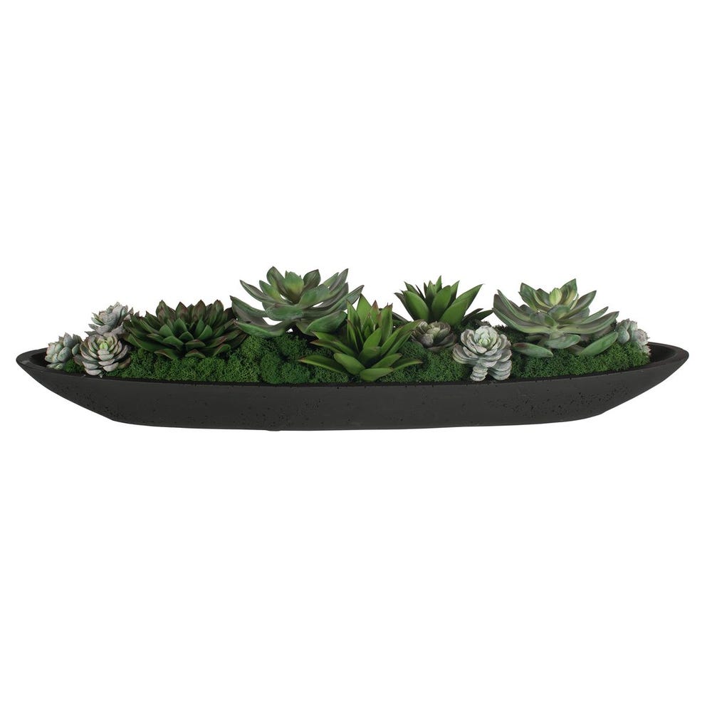 Uttermost Verde Succulent Centerpiece in Bowl