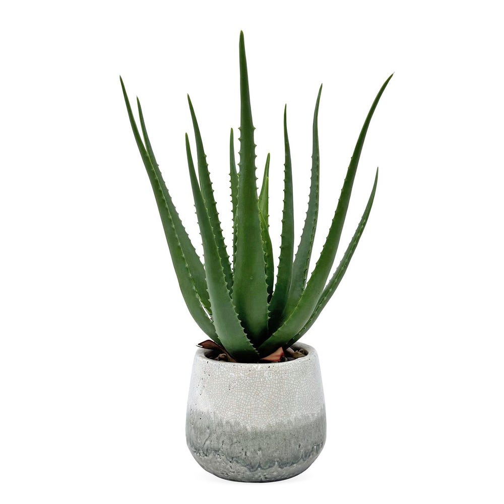 Uttermost Veranda Indoor-Outdoor Aloe Plant