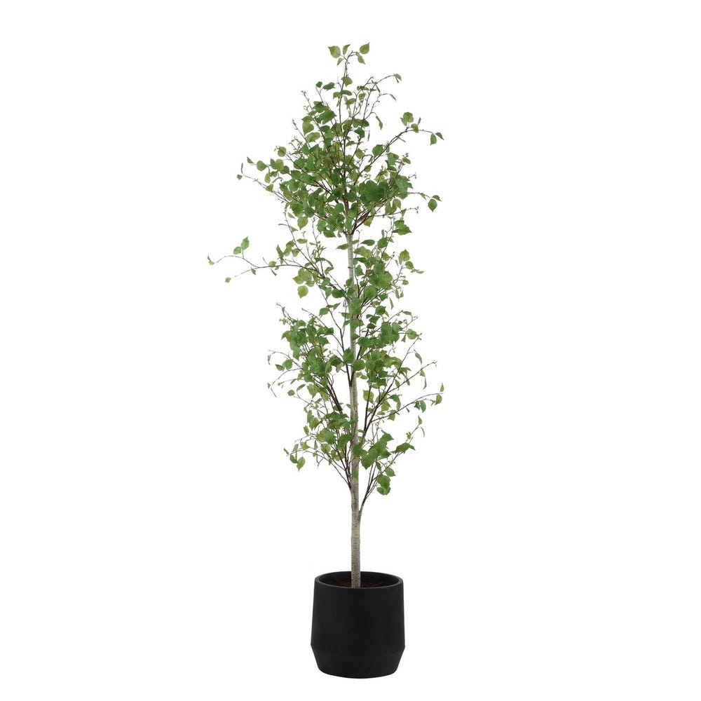 Uttermost Boreal Potted Birch Tree