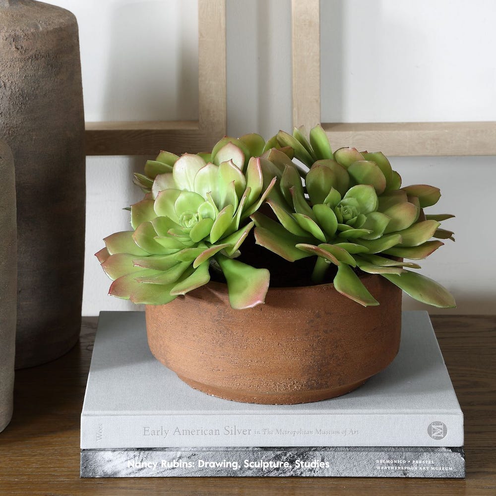 Uttermost Sable Succulent Accent in Pot