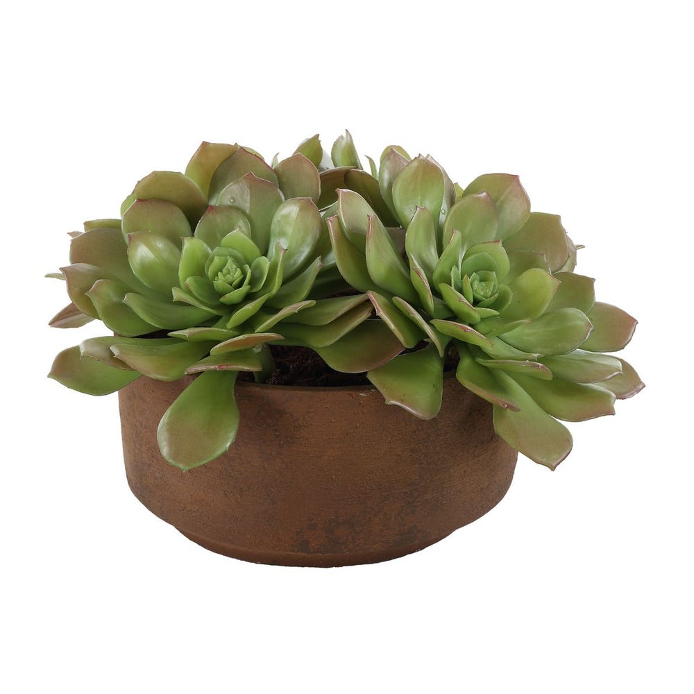 Uttermost Sable Succulent Accent in Pot