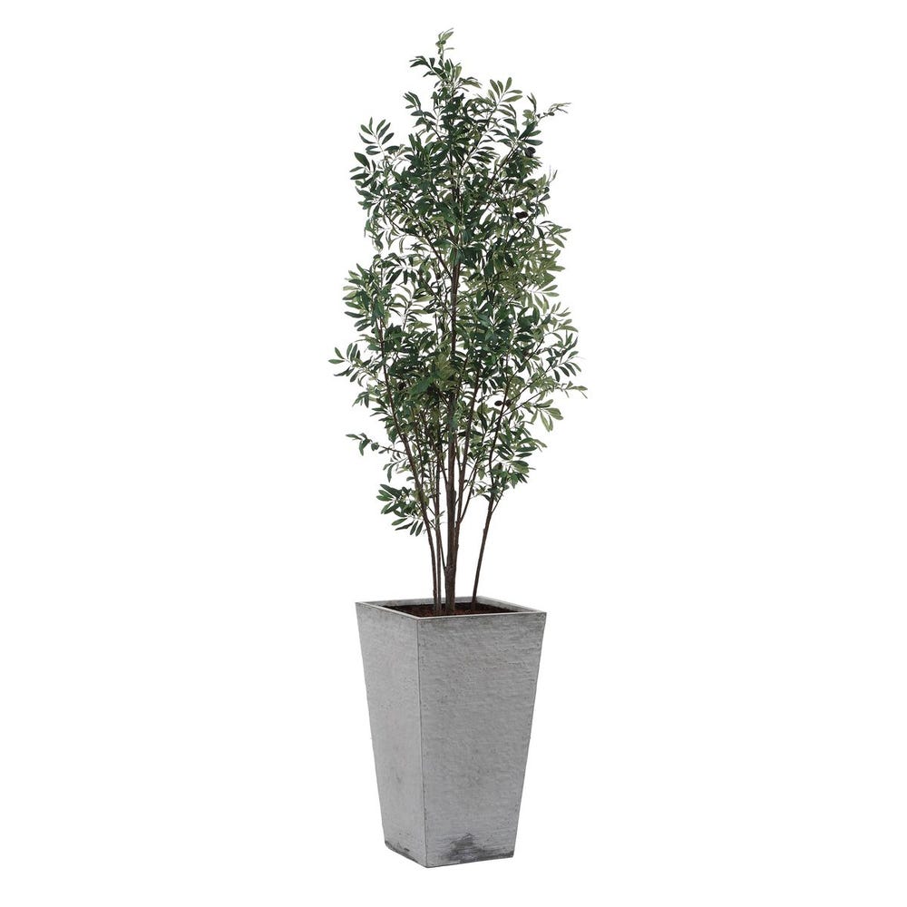 Uttermost Sonora Olive Tree in Planter