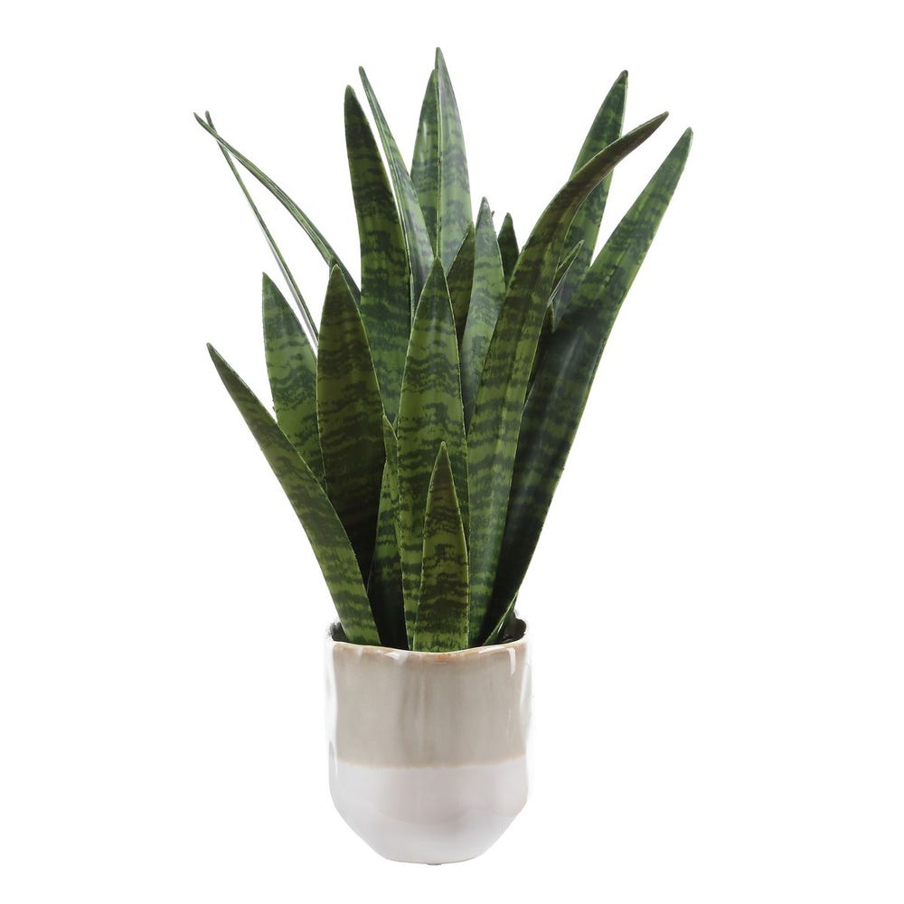Uttermost Sansera Snake Accent Plant