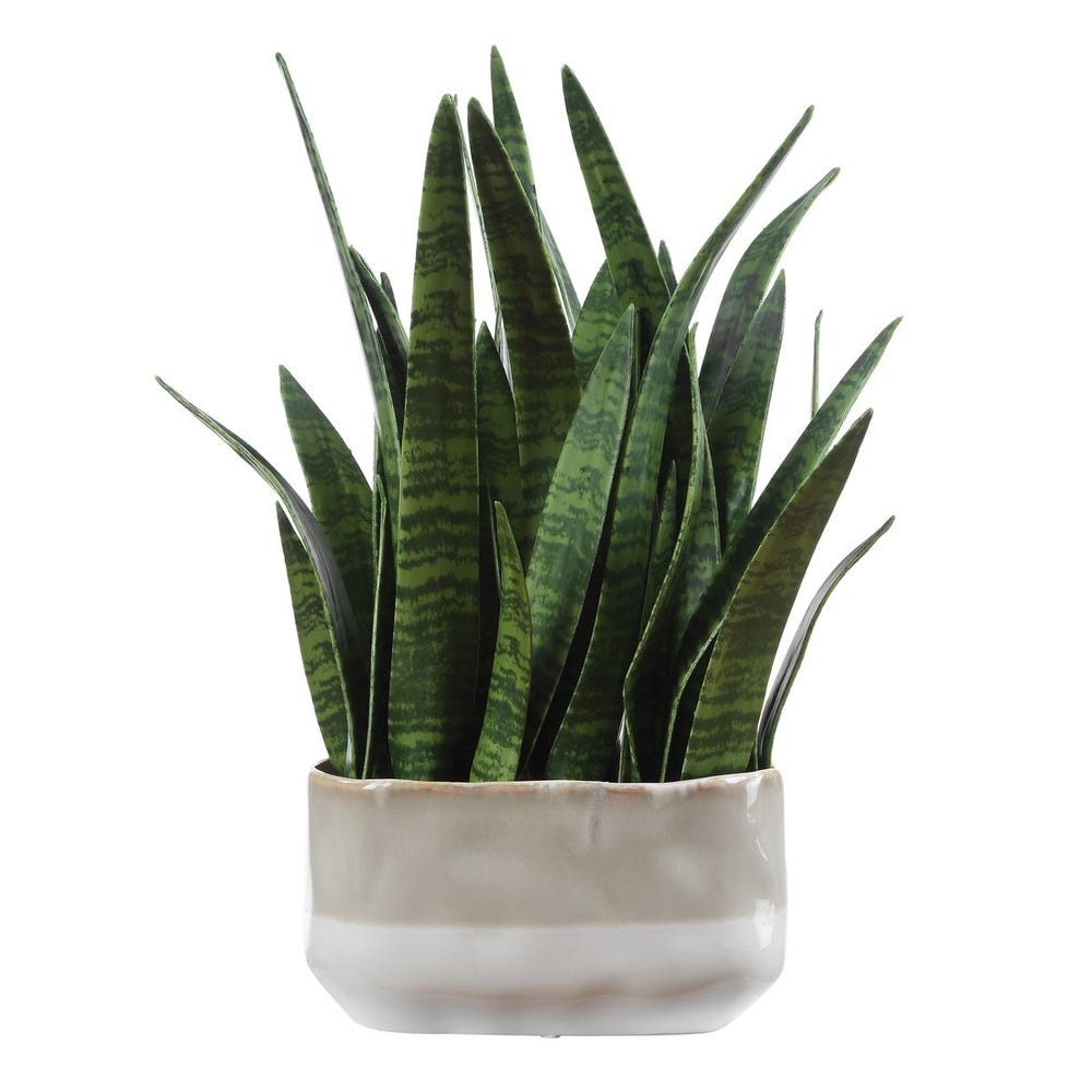 Uttermost Sansera Snake Accent Plant