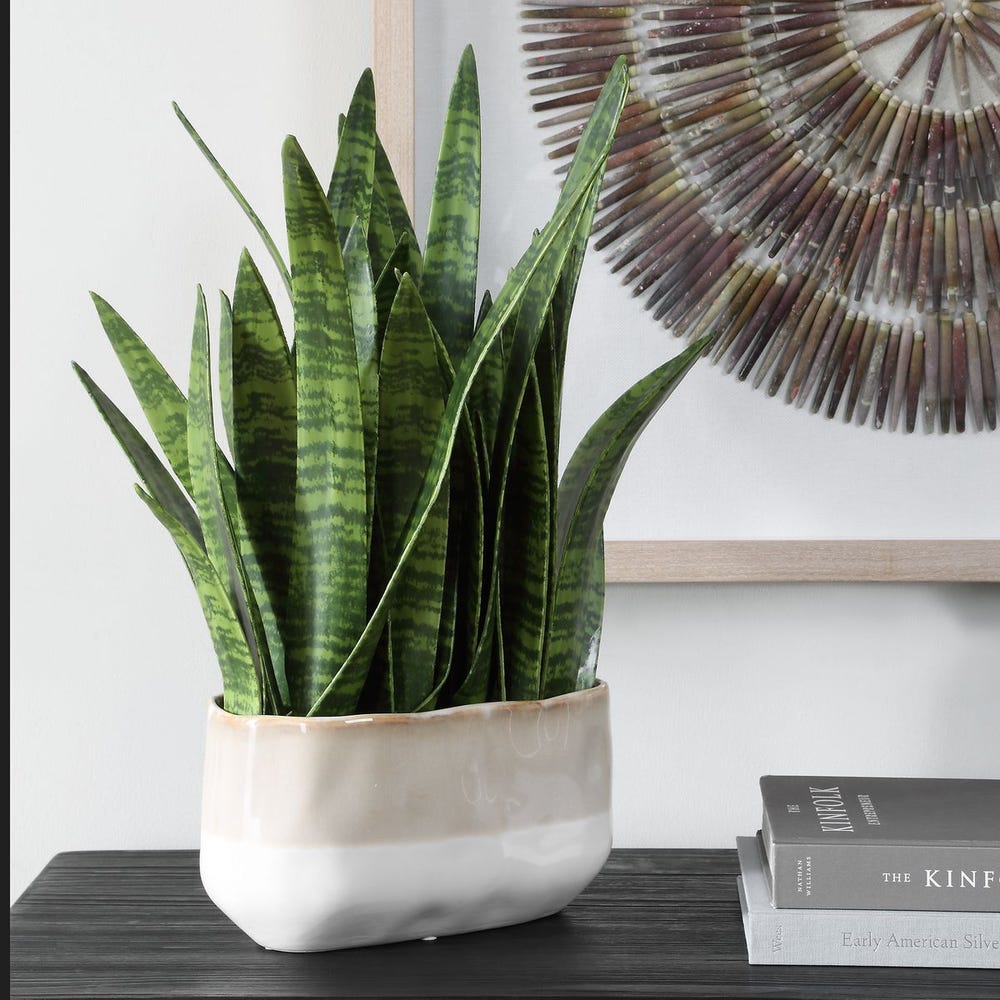 Uttermost Sansera Snake Accent Plant