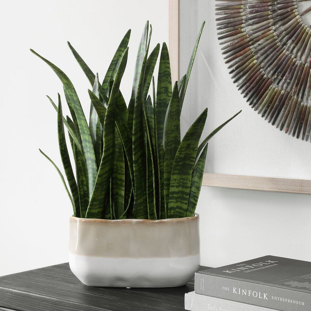Uttermost Sansera Snake Accent Plant