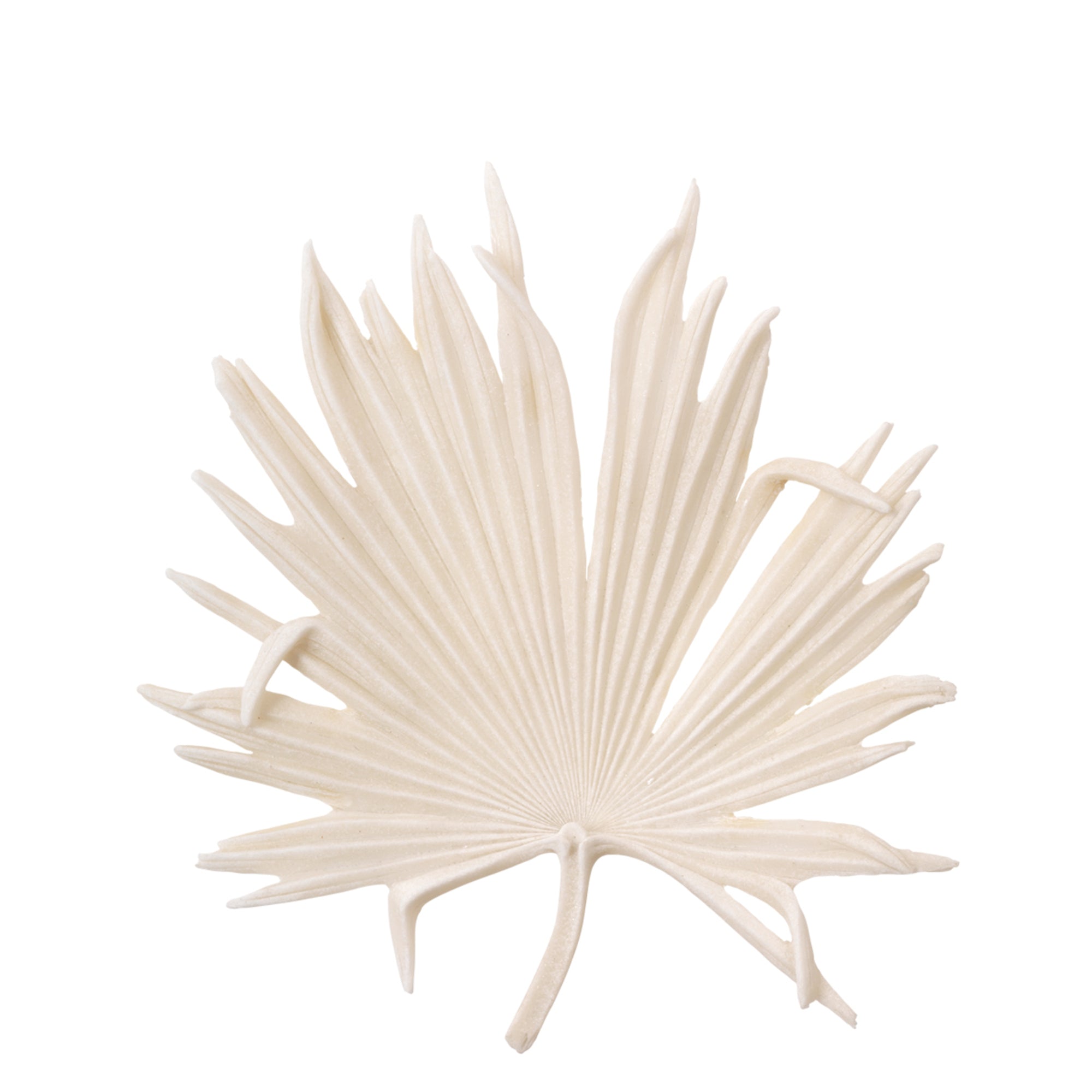 Island Leaf Object Sculptures Jamie Young , Black Friday Sale Jamie Young Furniture Sale, Old Bones Co, Mid Century Furniture Sale, Four Hands Furniture, Black Friday Sale Island Leaf Object,Gus Sale, Perigold Island Leaf Object Sculptures Black Friday Sale , Perigold Sale Island Leaf Object,Island Leaf Object Lulu and Georgia, Burke Decor Sale Island Leaf Object, www.oldbonesco.com