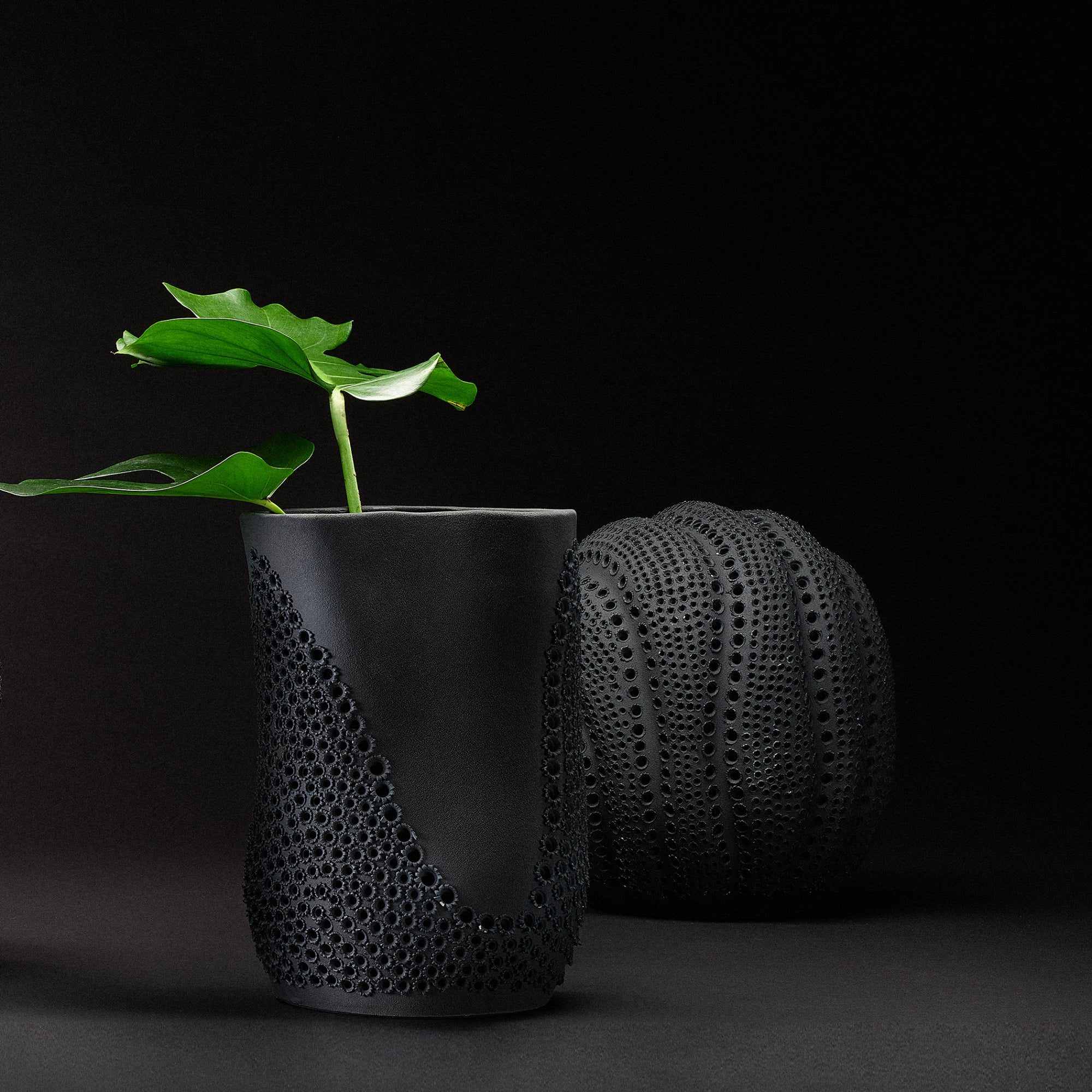 Moonrise Vase Vases Jamie Young , Black Friday Sale Jamie Young Furniture Sale, Old Bones Co, Mid Century Furniture Sale, Four Hands Furniture, Black Friday Sale Moonrise Vase,Gus Sale, Perigold Moonrise Vase Vases Black Friday Sale , Perigold Sale Moonrise Vase,Moonrise Vase Lulu and Georgia, Burke Decor Sale Moonrise Vase, www.oldbonesco.com