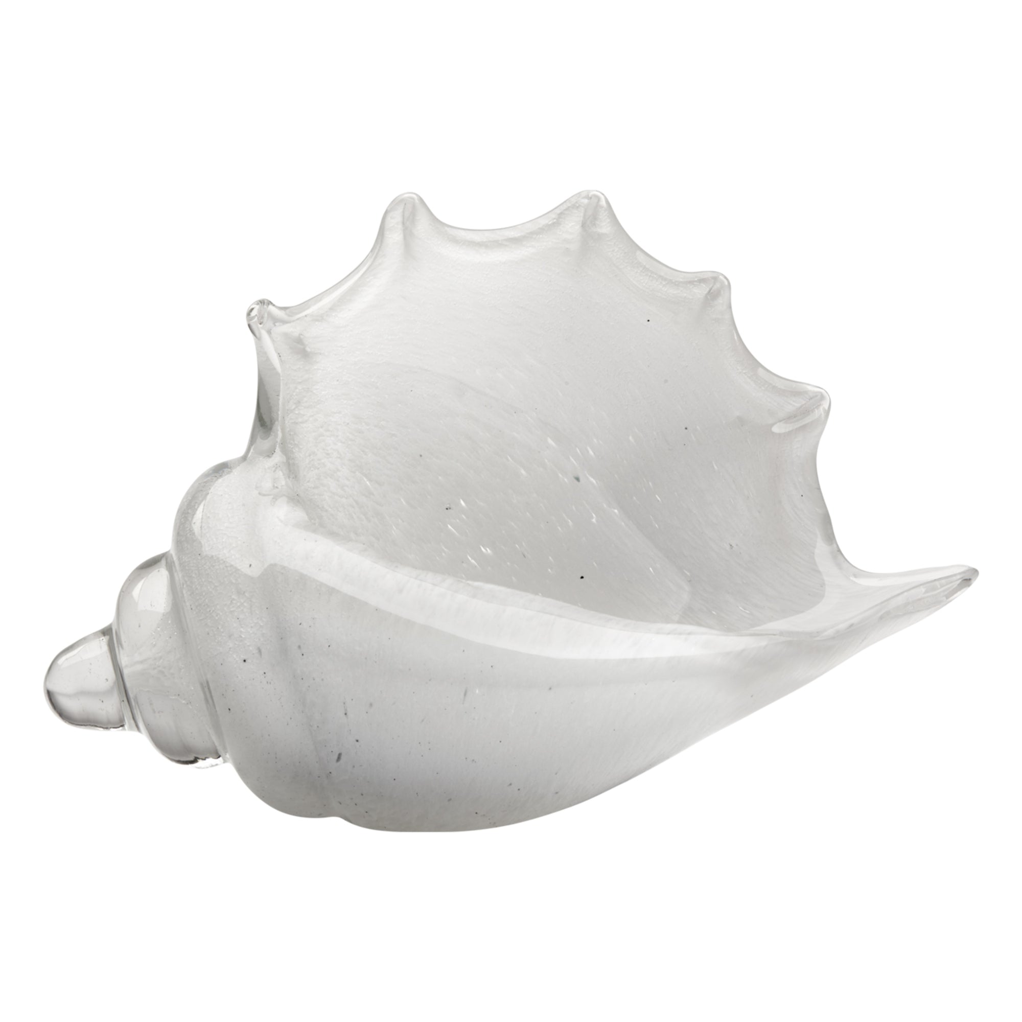 Triton Shell Sculptures Jamie Young White , Black Friday Sale Jamie Young Furniture Sale, Old Bones Co, Mid Century Furniture Sale, Four Hands Furniture, Black Friday Sale Triton Shell,Gus Sale, Perigold Triton Shell Sculptures Black Friday Sale , Perigold Sale Triton Shell,Triton Shell Lulu and Georgia, Burke Decor Sale Triton Shell, www.oldbonesco.com