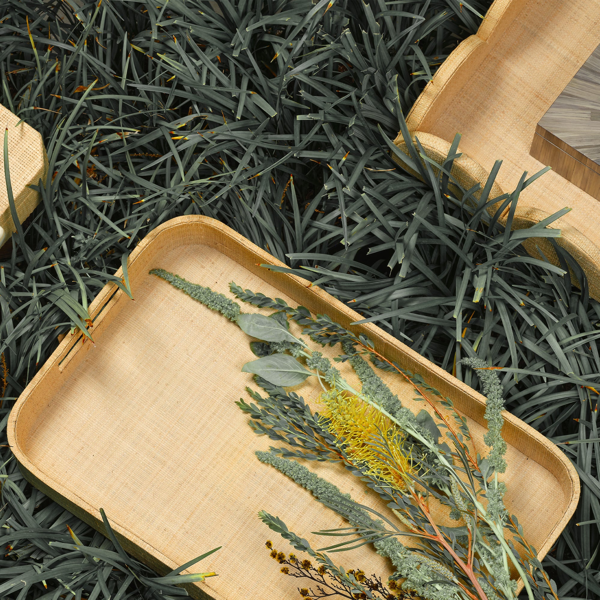 Utopia Footed Tray Trays & Containers Jamie Young , Black Friday Sale Jamie Young Furniture Sale, Old Bones Co, Mid Century Furniture Sale, Four Hands Furniture, Black Friday Sale Utopia Footed Tray,Gus Sale, Perigold Utopia Footed Tray Trays & Containers Black Friday Sale , Perigold Sale Utopia Footed Tray,Utopia Footed Tray Lulu and Georgia, Burke Decor Sale Utopia Footed Tray, www.oldbonesco.com