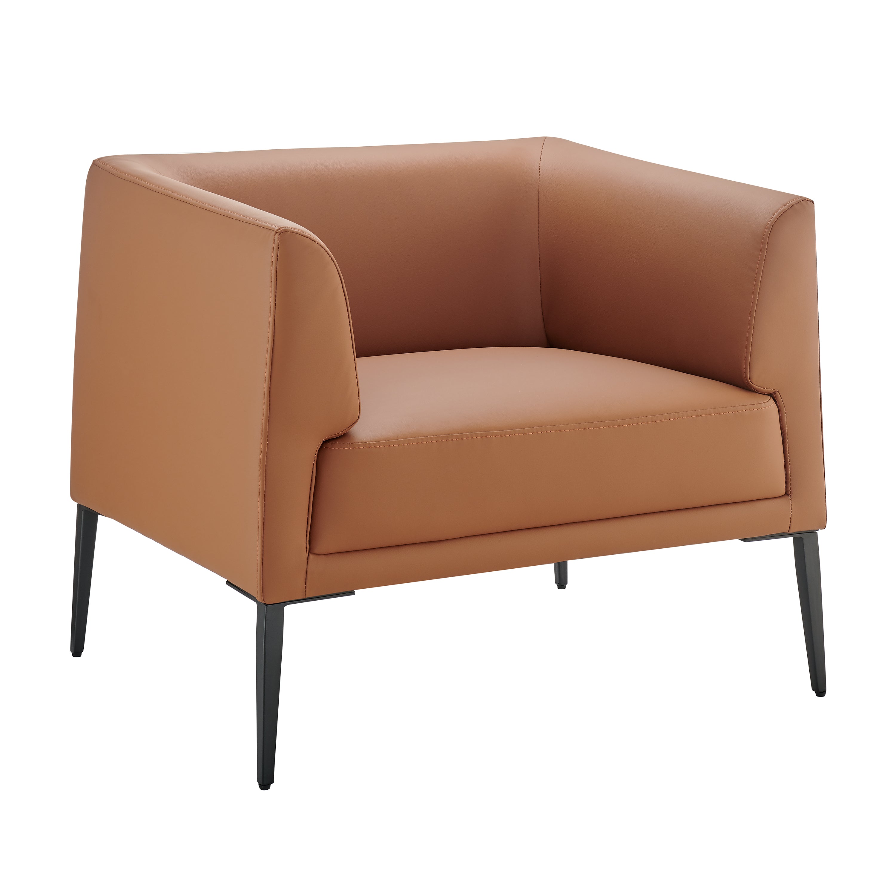 Matias Leather Lounge Chair