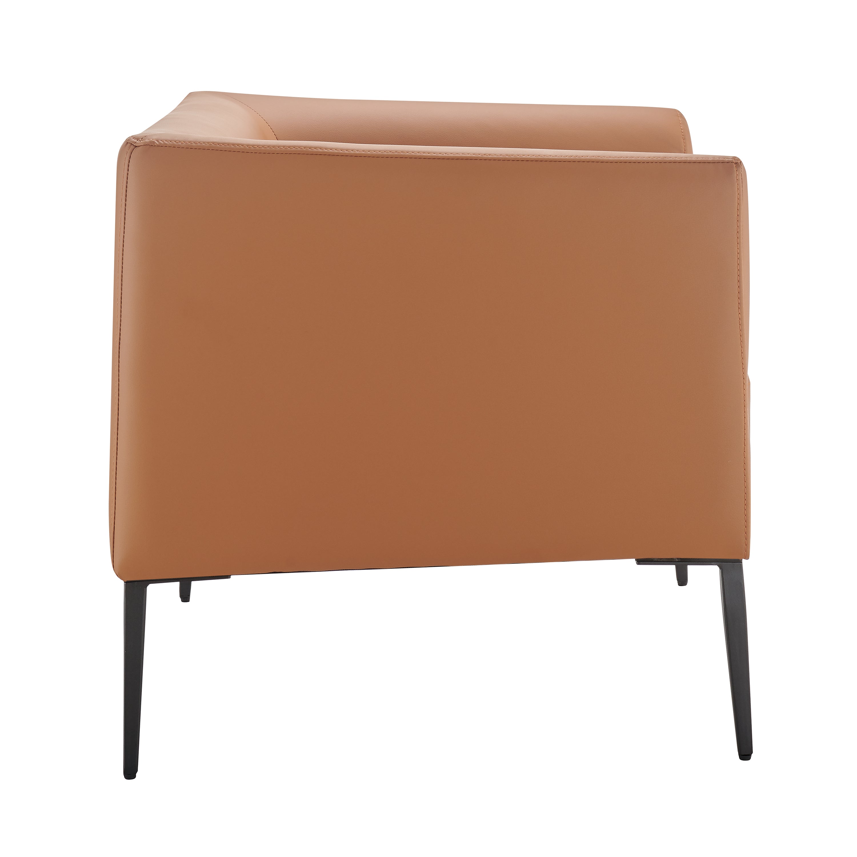 Matias Leather Lounge Chair