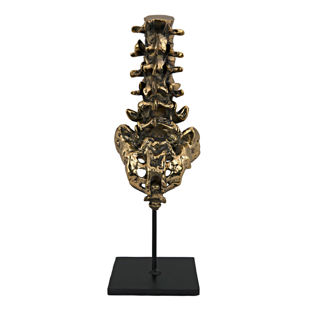 Vertebrae Sculpture Sculptures Noir , Black Friday Sale Noir Furniture Sale, Old Bones Co, Mid Century Furniture Sale, Four Hands Furniture, Black Friday Sale Vertebrae Sculpture,Gus Sale, Perigold Vertebrae Sculpture Sculptures Black Friday Sale , Perigold Sale Vertebrae Sculpture,Vertebrae Sculpture Lulu and Georgia, Burke Decor Sale Vertebrae Sculpture, www.oldbonesco.com