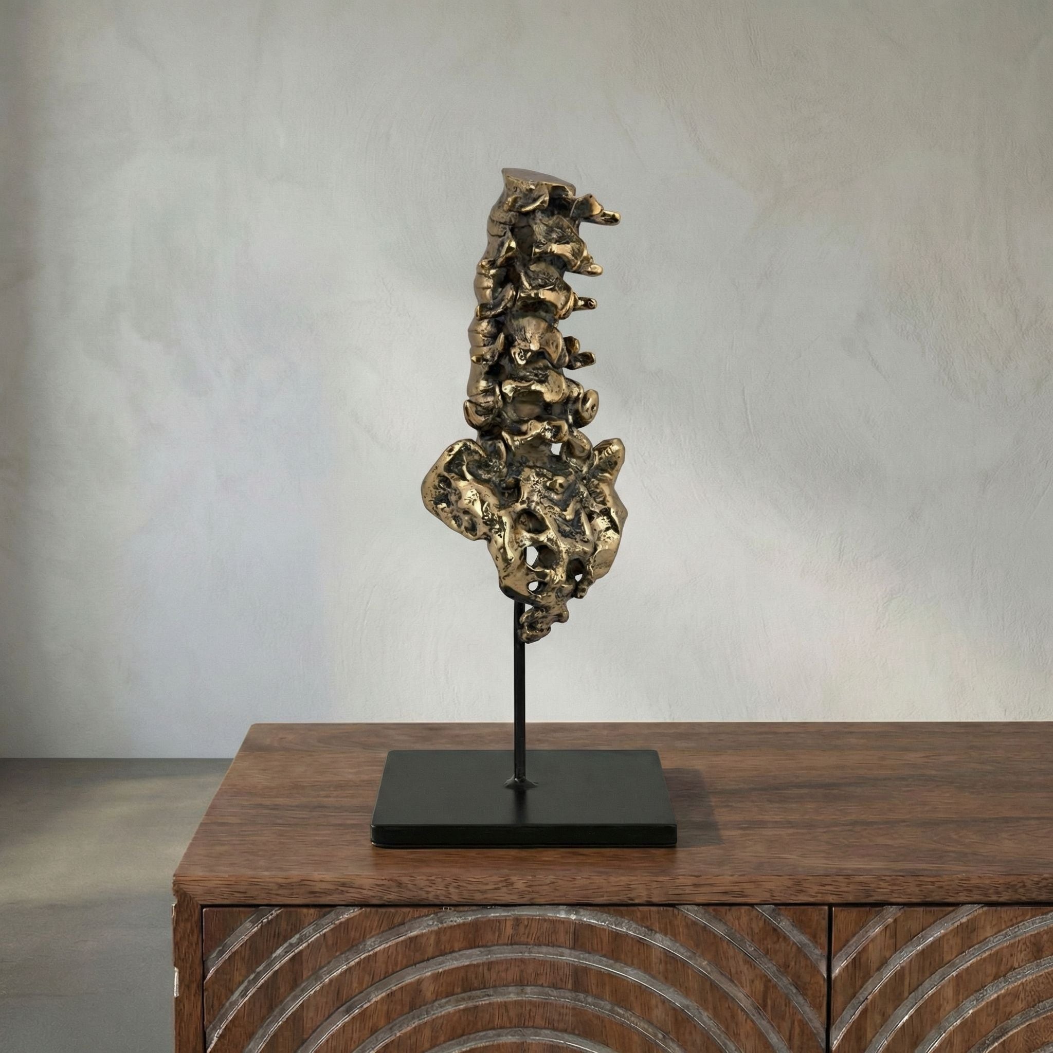 Vertebrae Sculpture