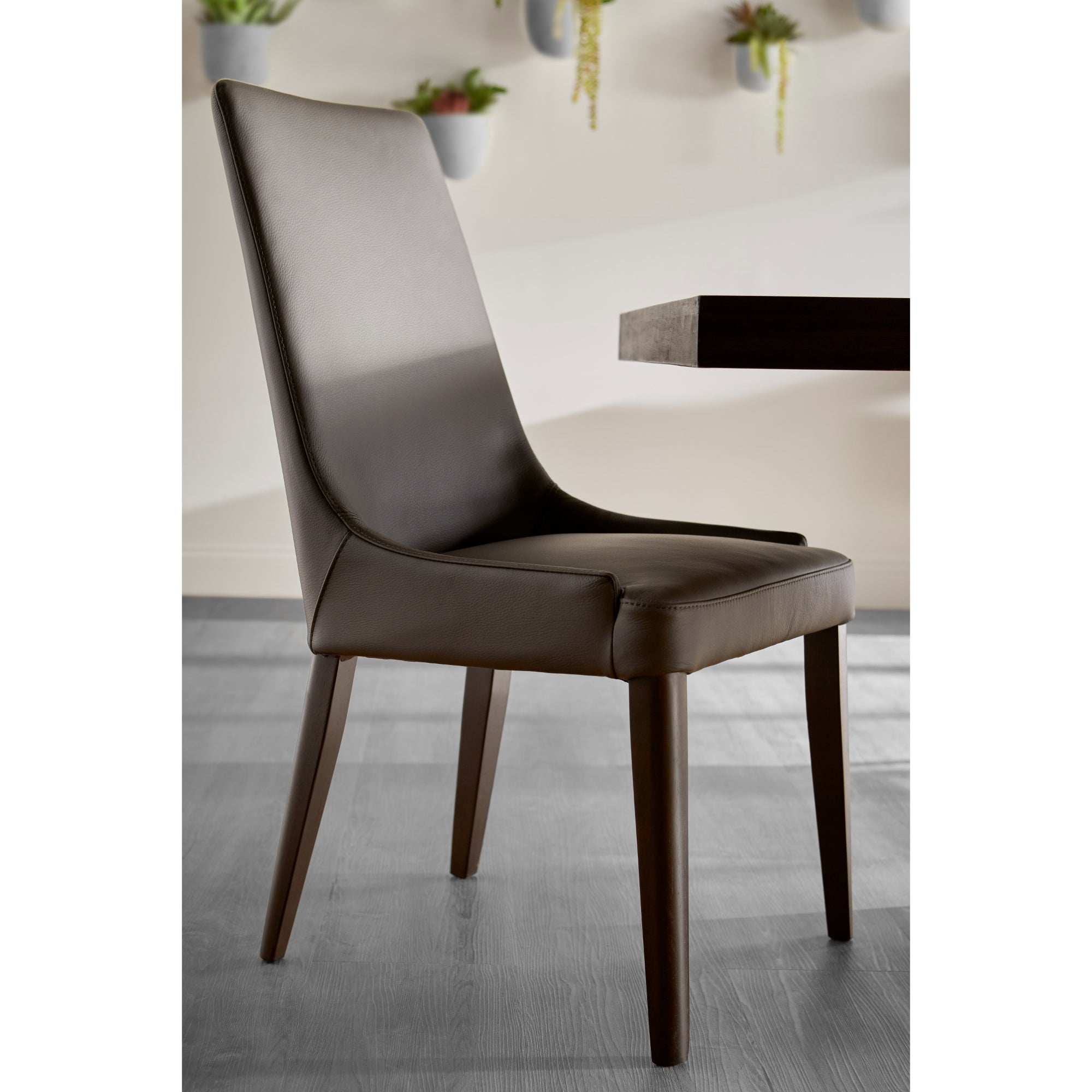 Aurora Dining Chair - Set of 2 Dining Chairs Essentials For Living , Black Friday Sale Essentials For Living Furniture Sale, Old Bones Co, Mid Century Furniture Sale, Four Hands Furniture, Black Friday Sale Aurora Dining Chair - Set of 2,Gus Sale, Perigold Aurora Dining Chair - Set of 2 Dining Chairs Black Friday Sale , Perigold Sale Aurora Dining Chair - Set of 2,Aurora Dining Chair - Set of 2 Lulu and Georgia, Burke Decor Sale Aurora Dining Chair - Set of 2, www.oldbonesco.com