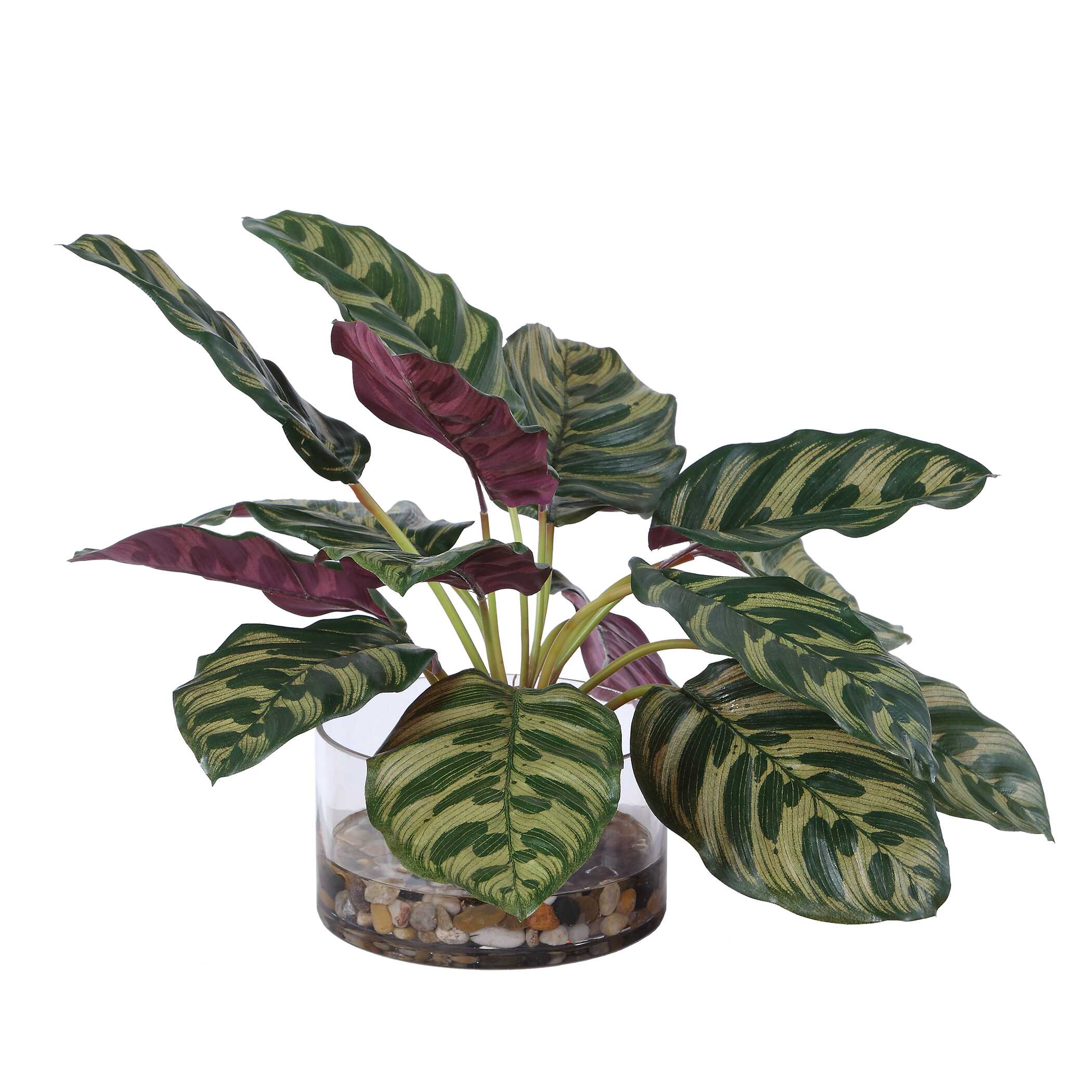 Uttermost Peacock Plant Accent