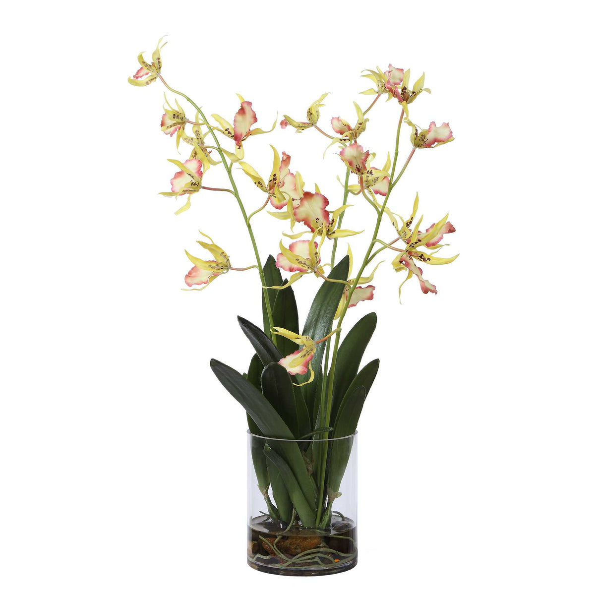 Uttermost Spider Orchid in Glass Vase by Uttermost