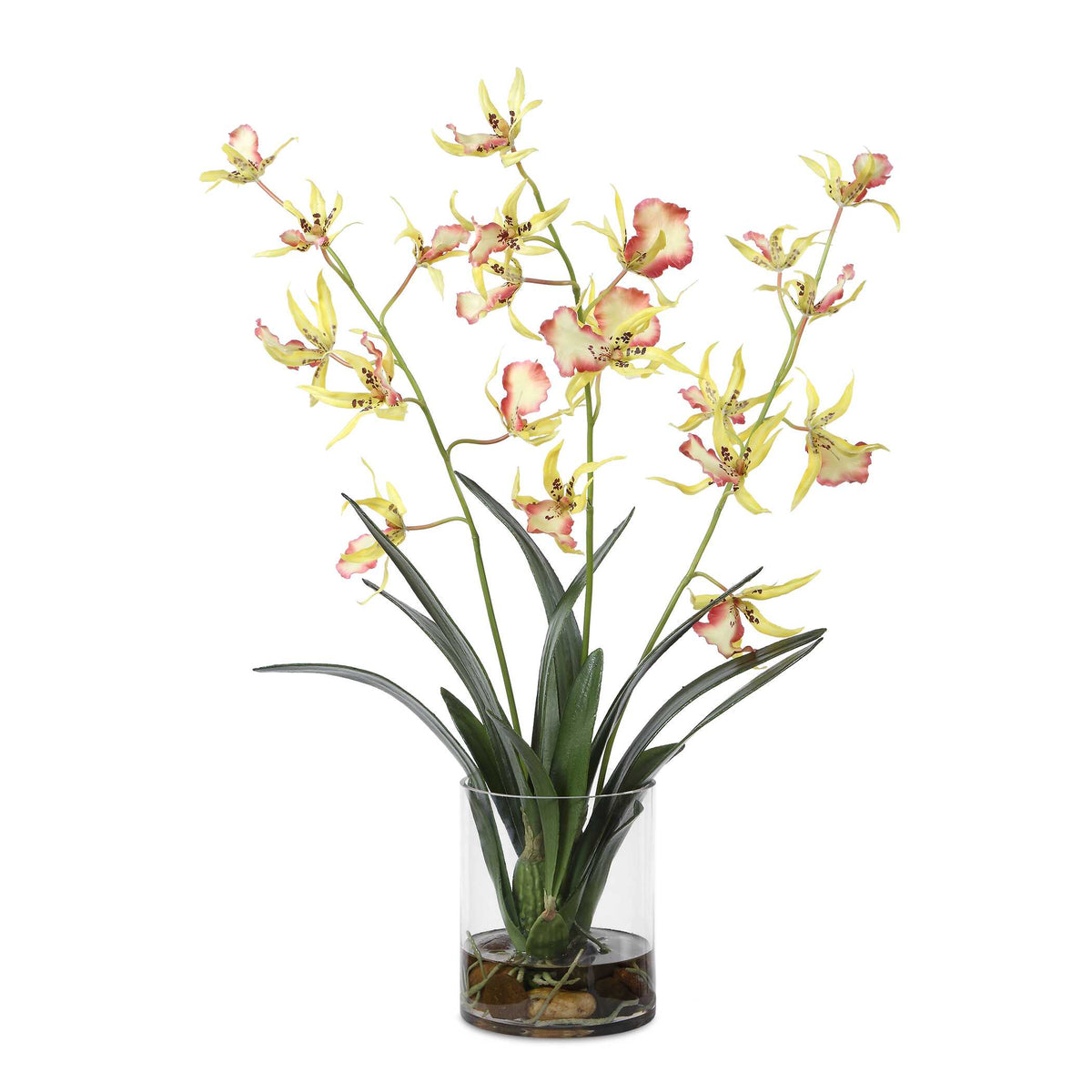 Uttermost Spider Orchid in Glass Vase by Uttermost