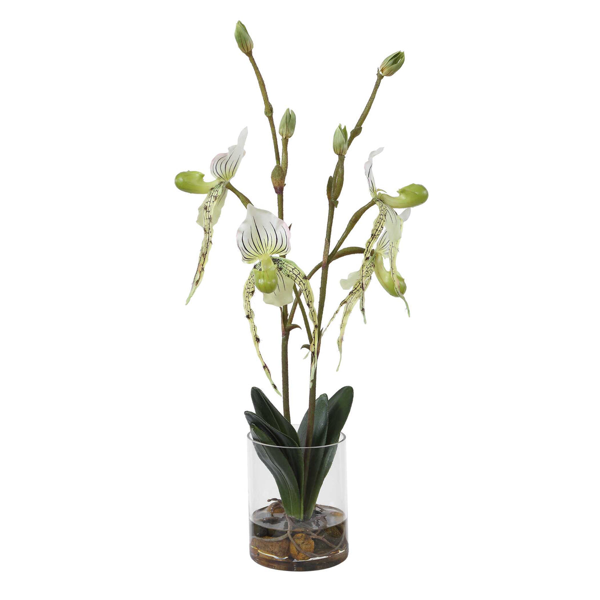 Uttermost Lady Slipper Orchid in Glass Vase by Uttermost