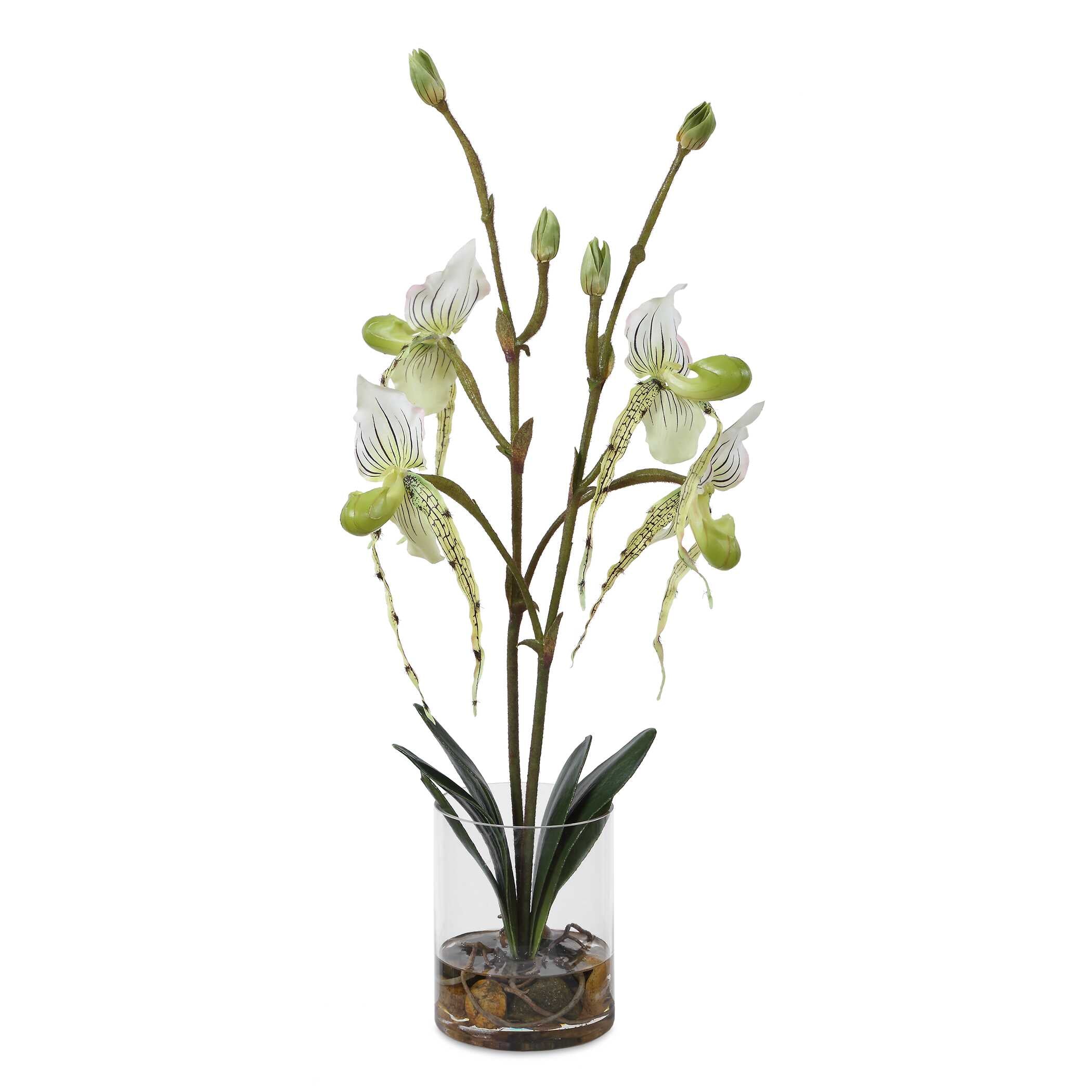 Uttermost Lady Slipper Orchid in Glass Vase