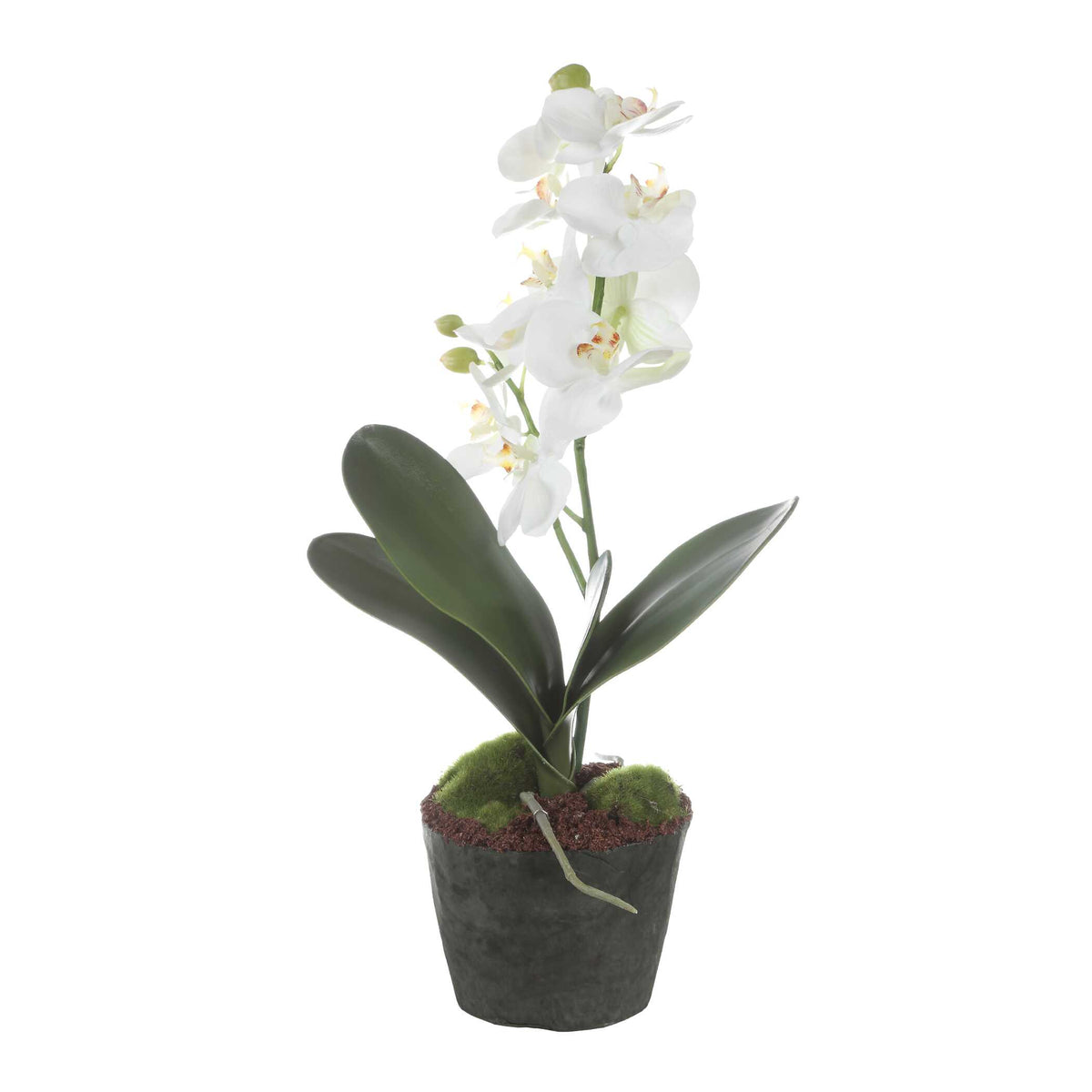 Uttermost Laris Orchid Drop-In by Uttermost