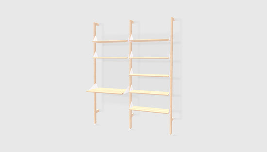Branch-2 Shelving Unit with Desk