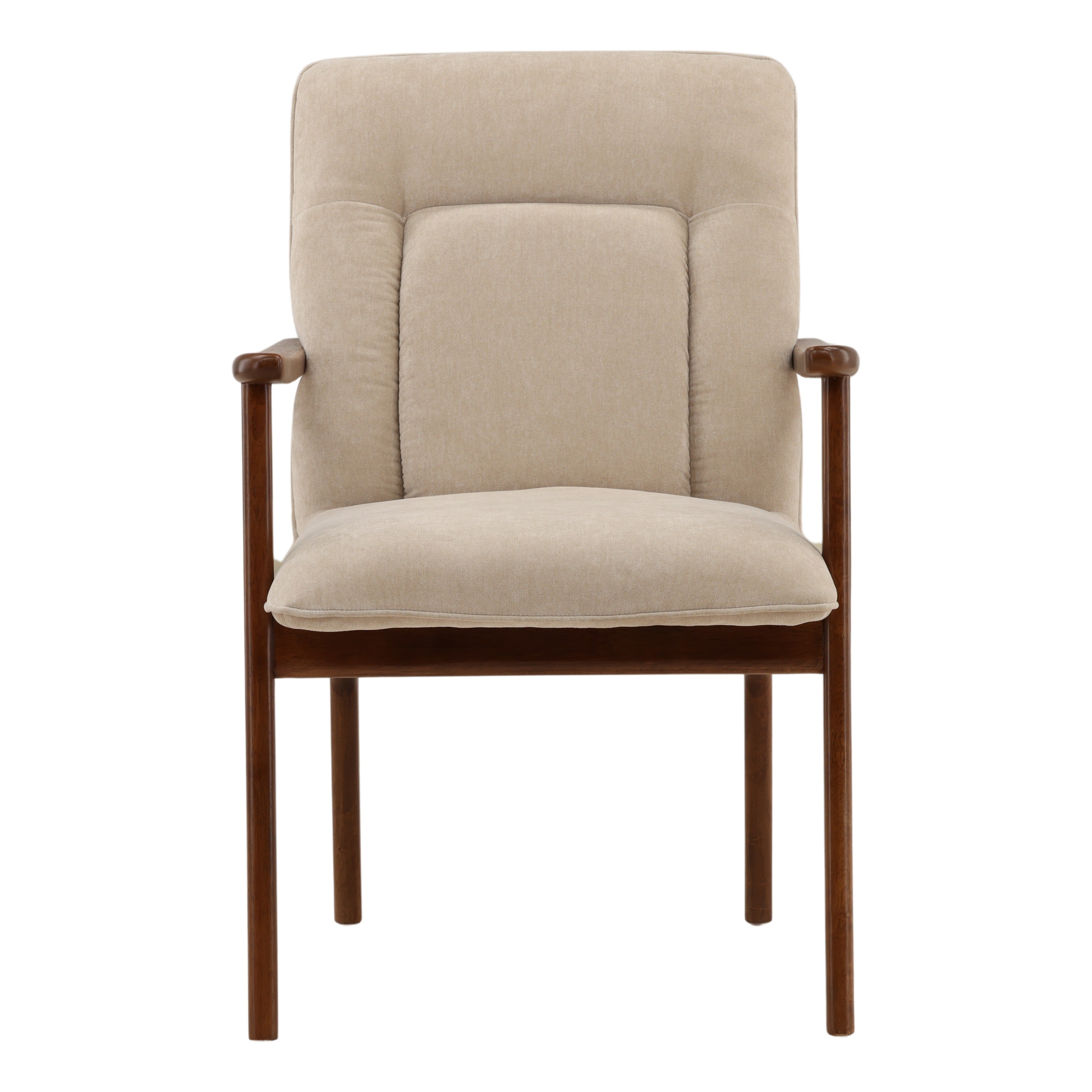 Theodore Dining Chair
