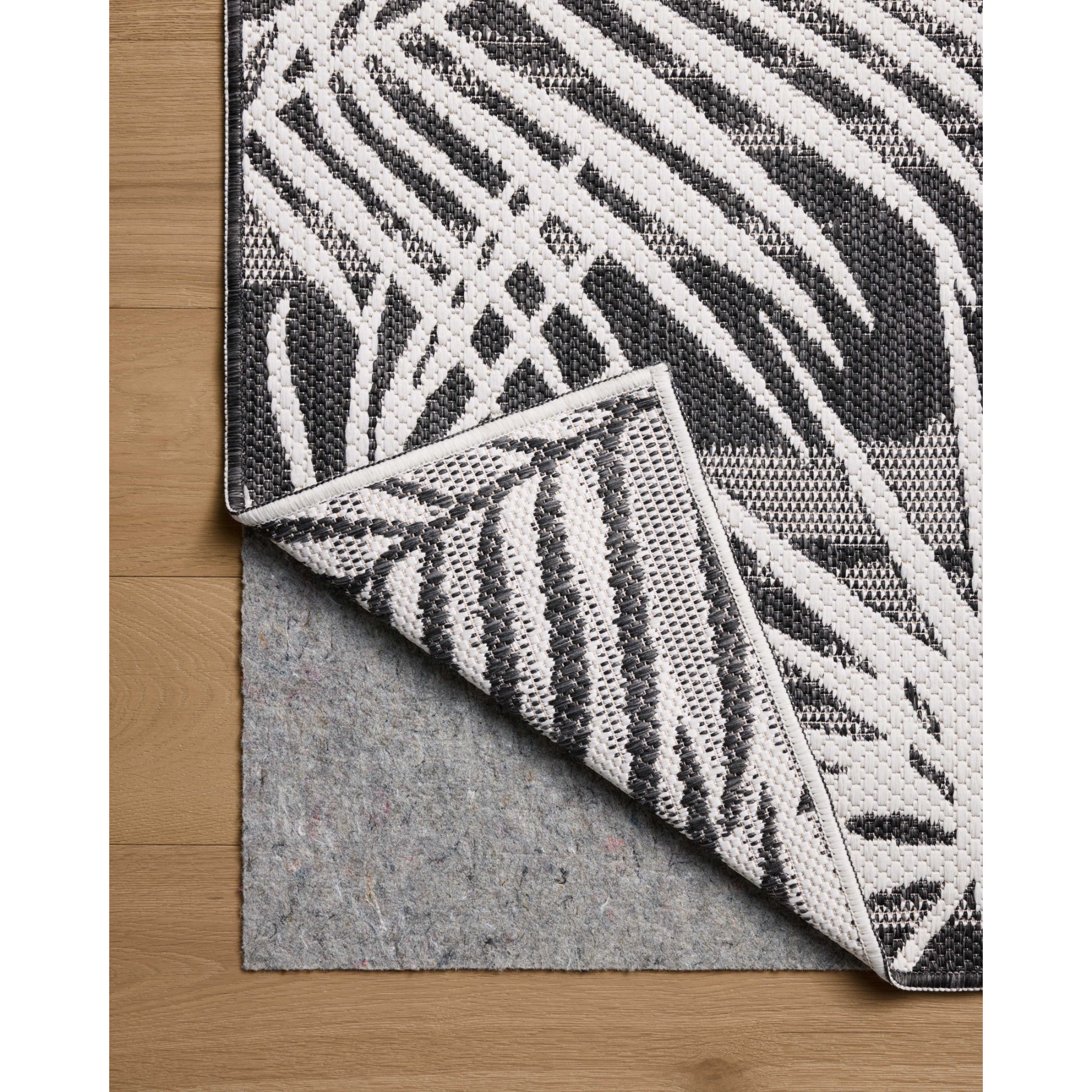 Loloi Easton Ivory/Onyx Rug