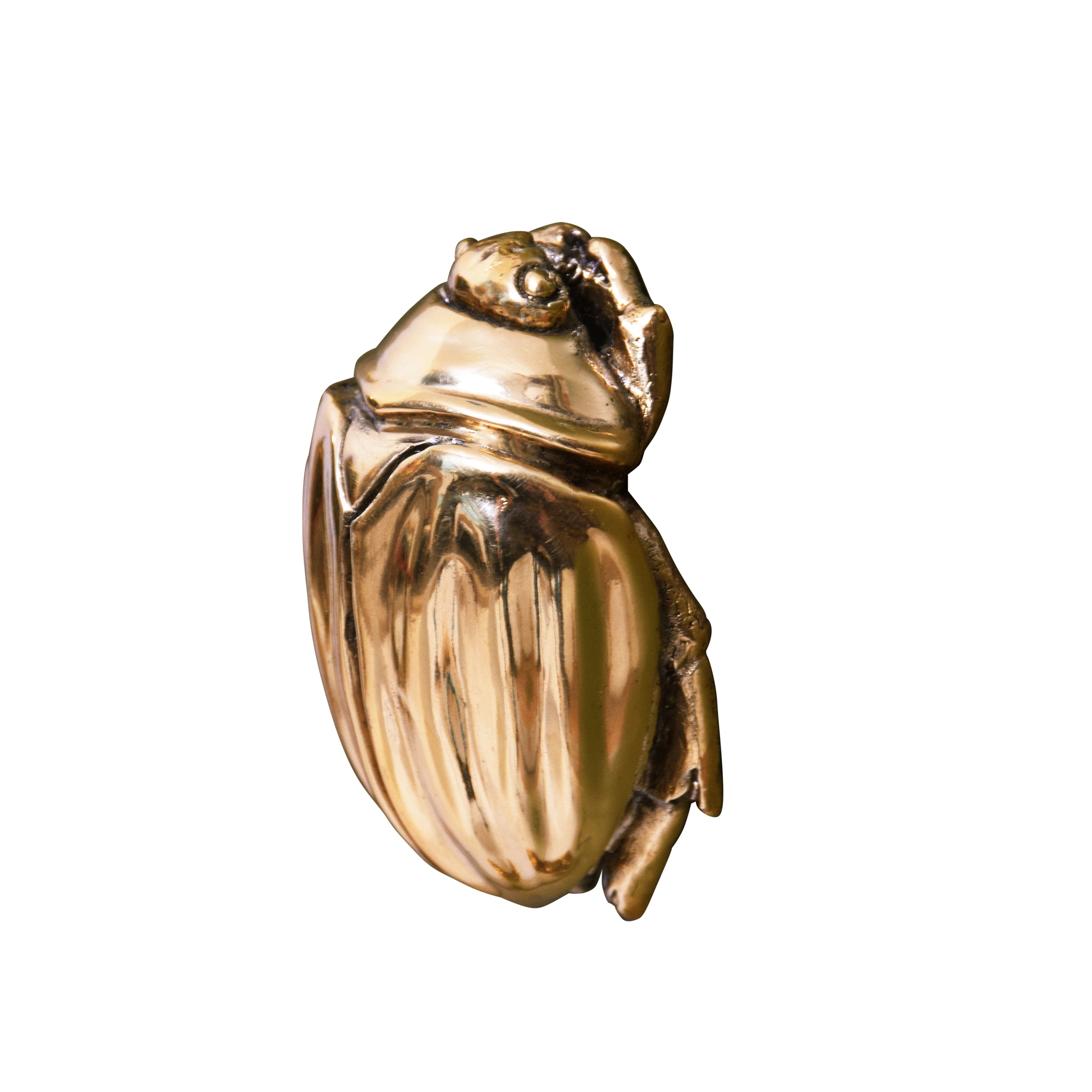 Fortune Habr Beetle Knob Hardware Knobs & Handles Worlds Away , Black Friday Sale Worlds Away Furniture Sale, Old Bones Co, Mid Century Furniture Sale, Four Hands Furniture, Black Friday Sale Fortune Habr Beetle Knob,Gus Sale, Perigold Fortune Habr Beetle Knob Hardware Knobs & Handles Black Friday Sale , Perigold Sale Fortune Habr Beetle Knob,Fortune Habr Beetle Knob Lulu and Georgia, Burke Decor Sale Fortune Habr Beetle Knob, www.oldbonesco.com