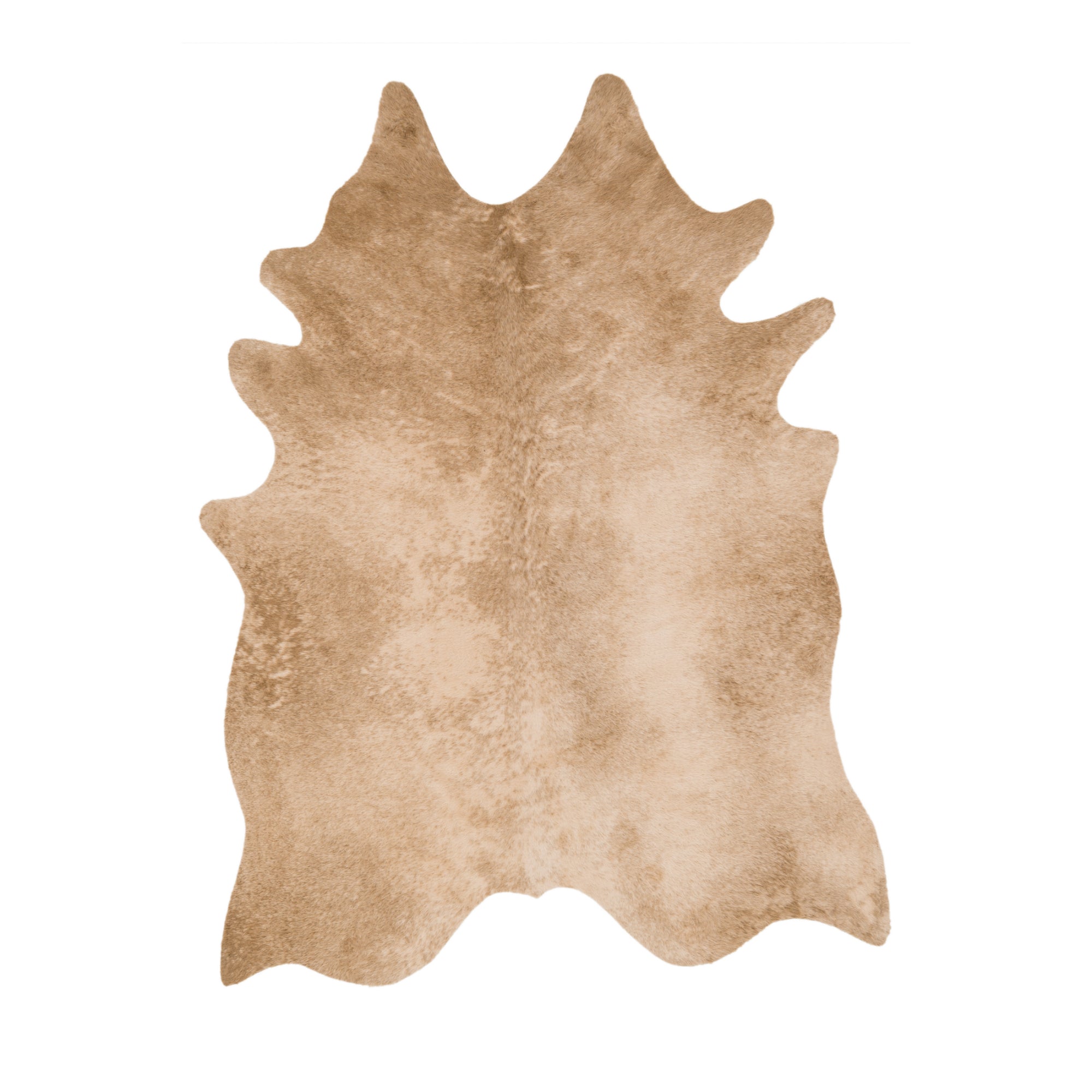 Loloi Grand Canyon Tan Rug