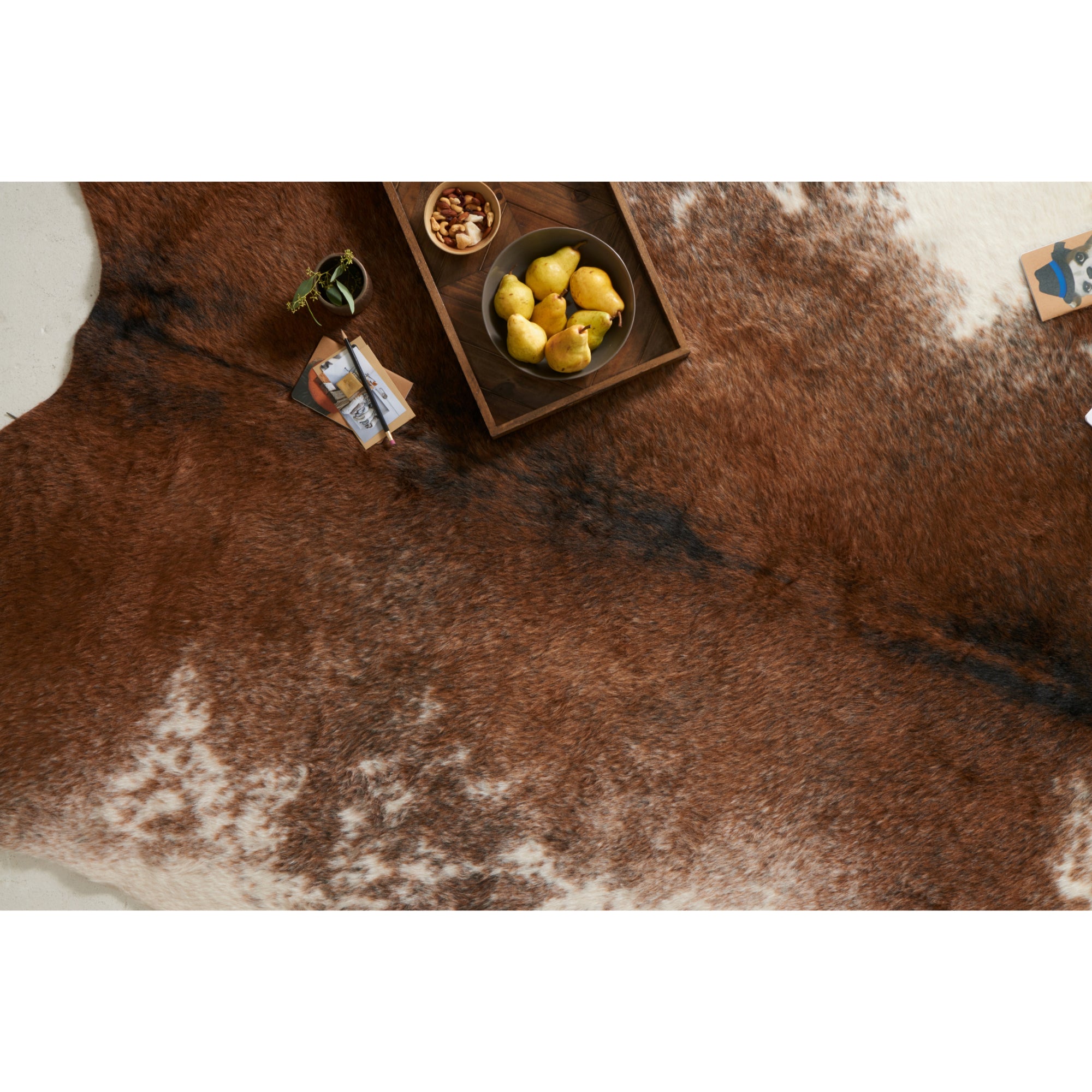Loloi Grand Canyon Coffee/Ivory Rug