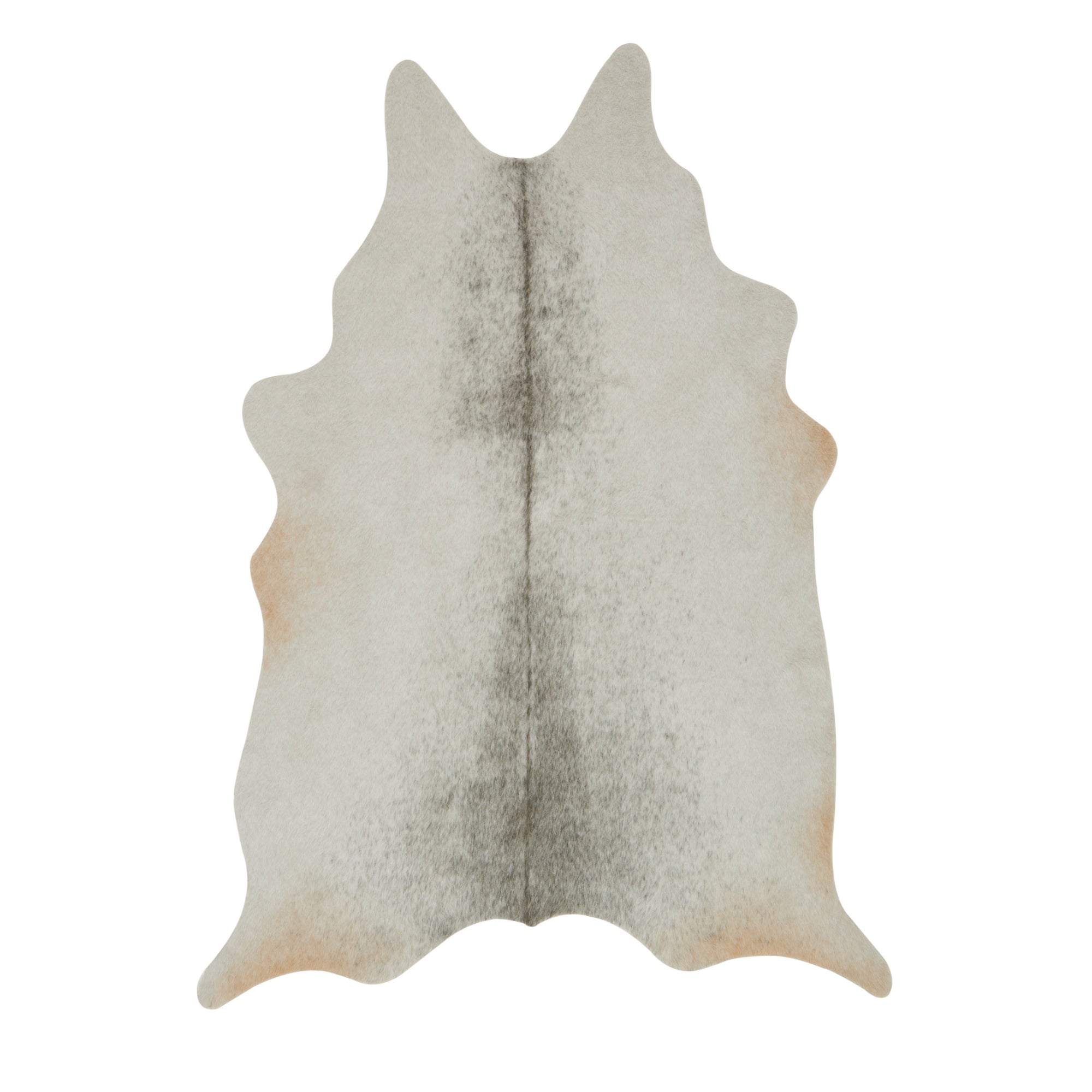 Loloi Grand Canyon Silver/Grey Rug