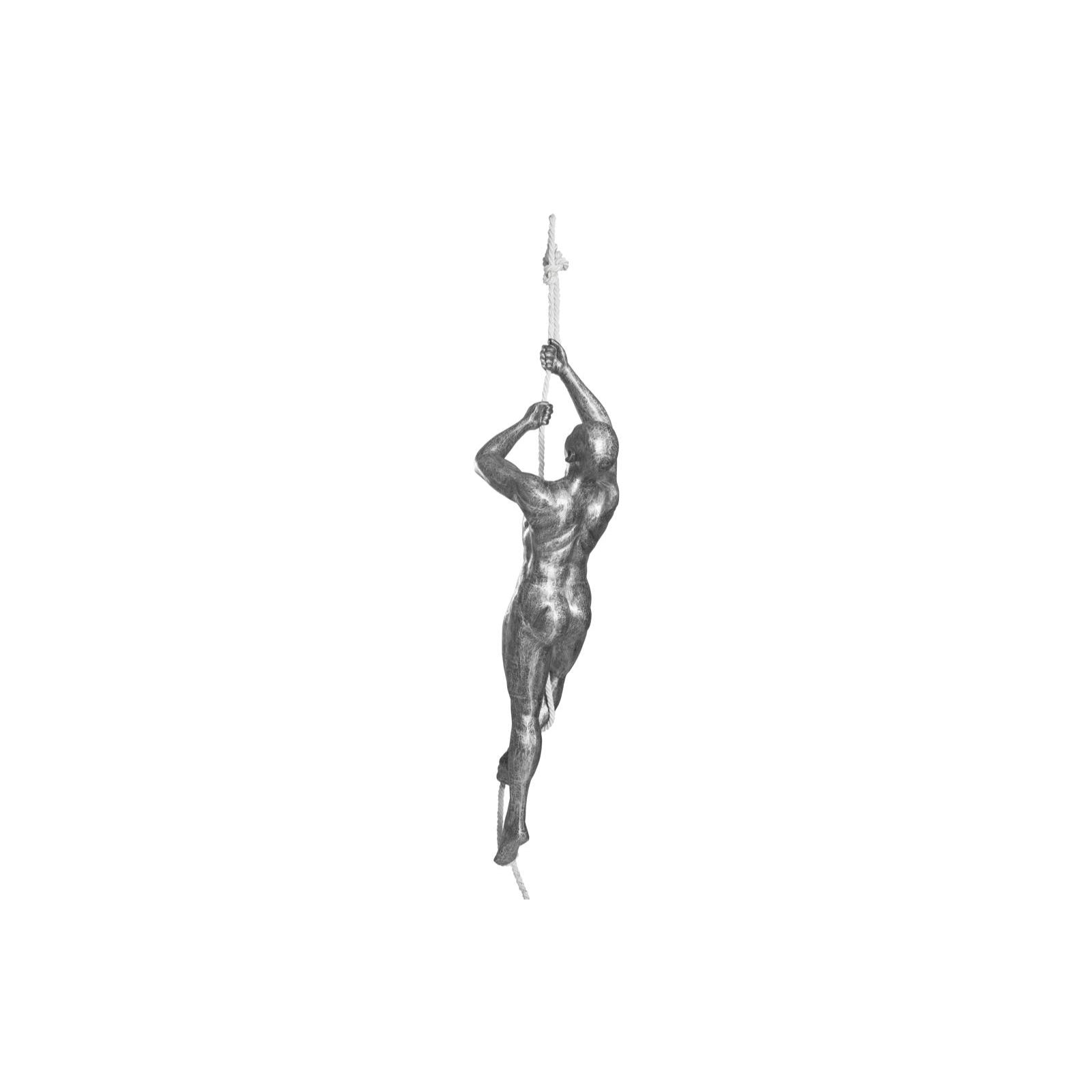 Climbing Sculpture with Rope