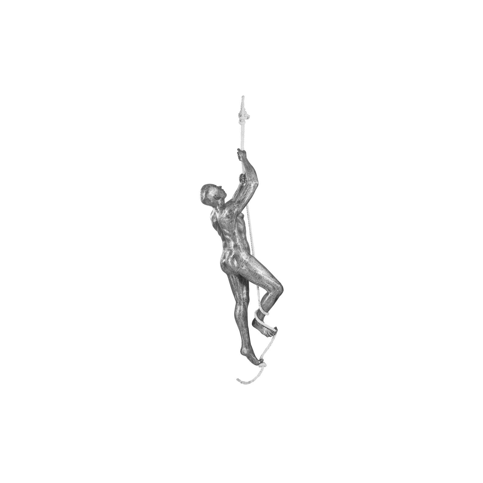 Climbing Sculpture with Rope