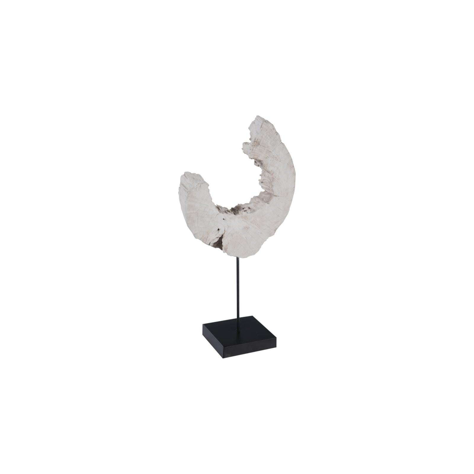 Eroded Wood C Sculpture on Stand