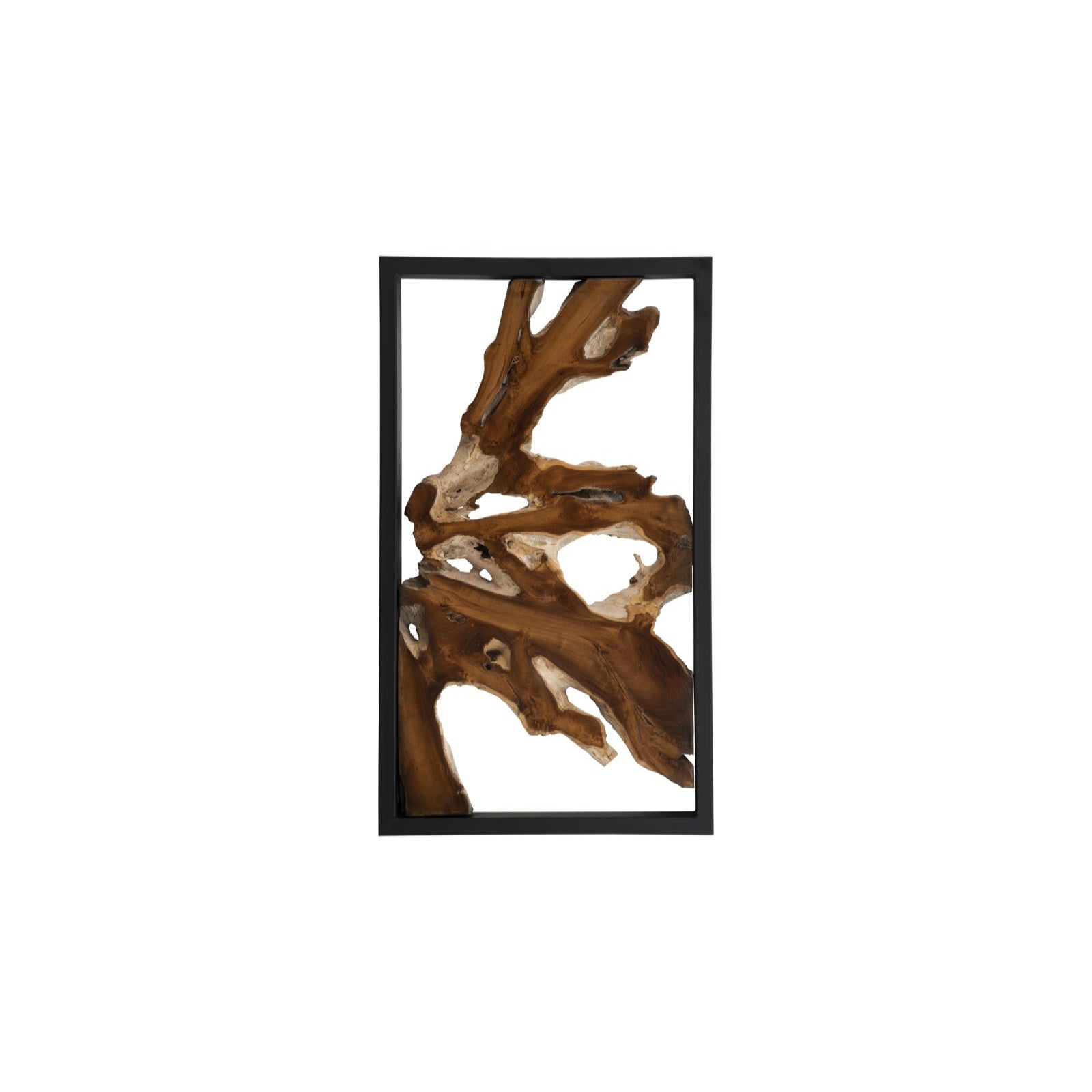 Framed Root Wall Art