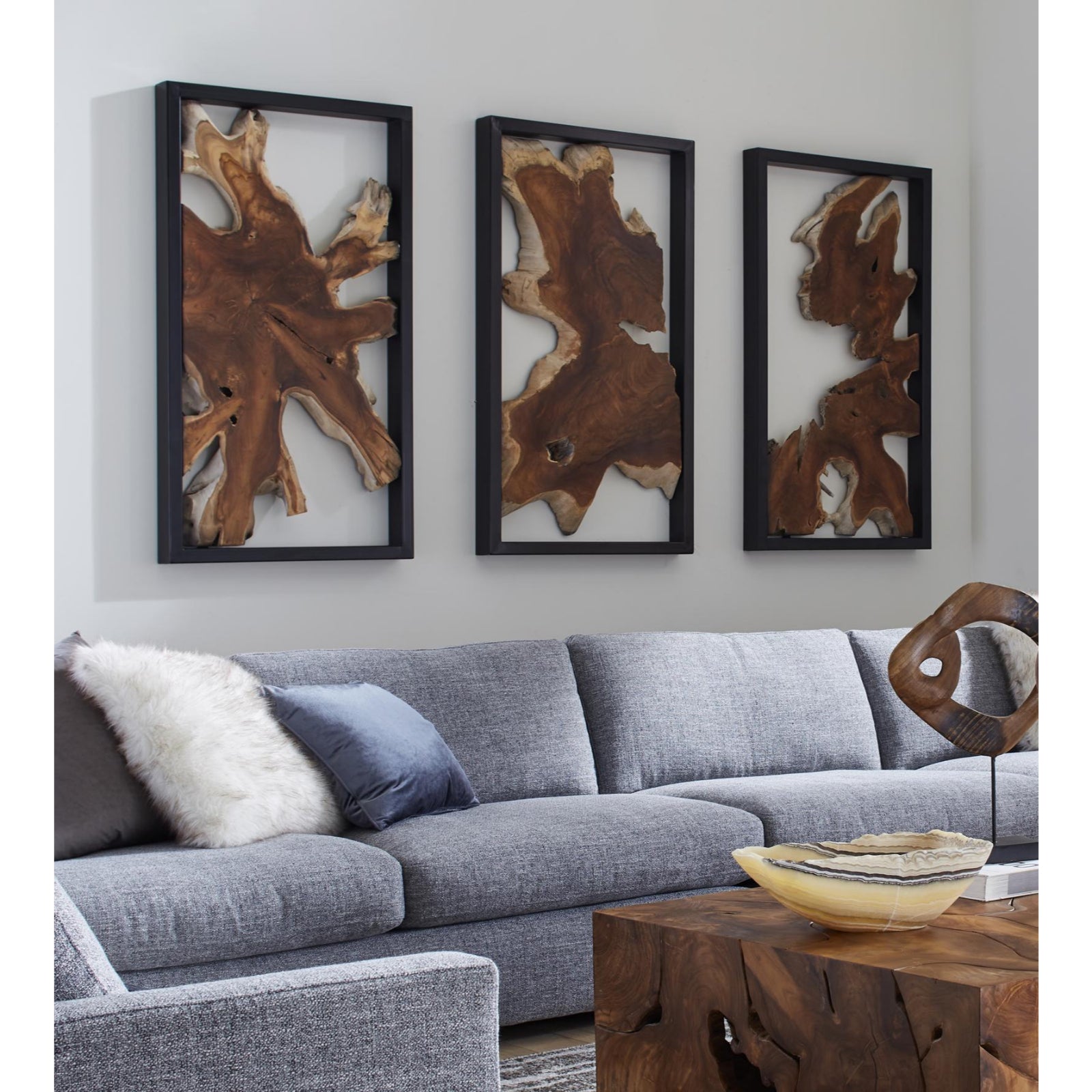 Framed Root Wall Art