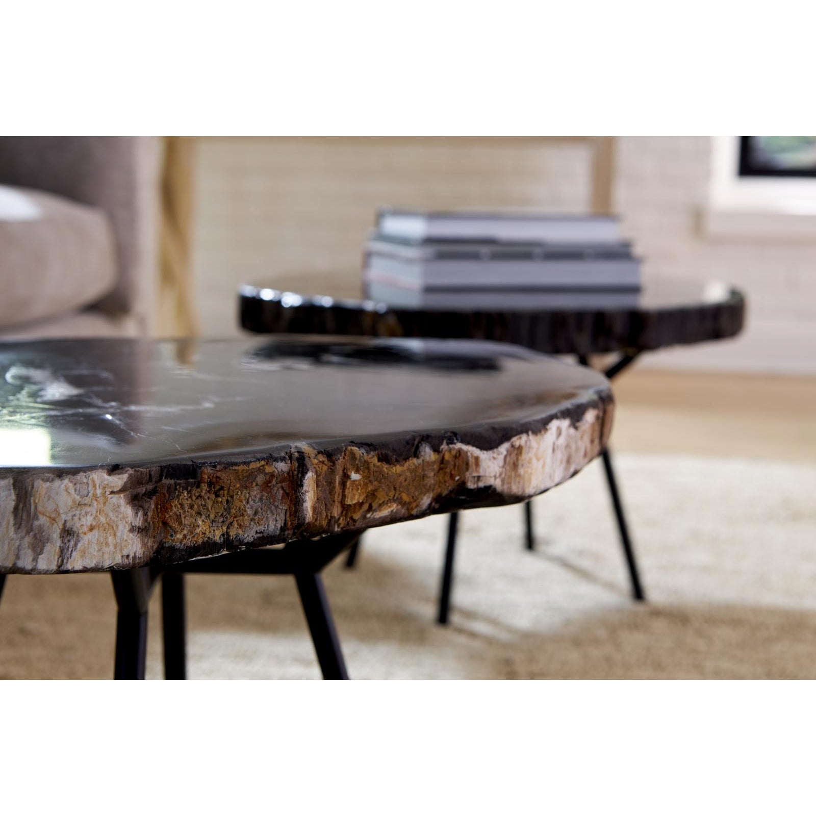 Petrified Coffee Table