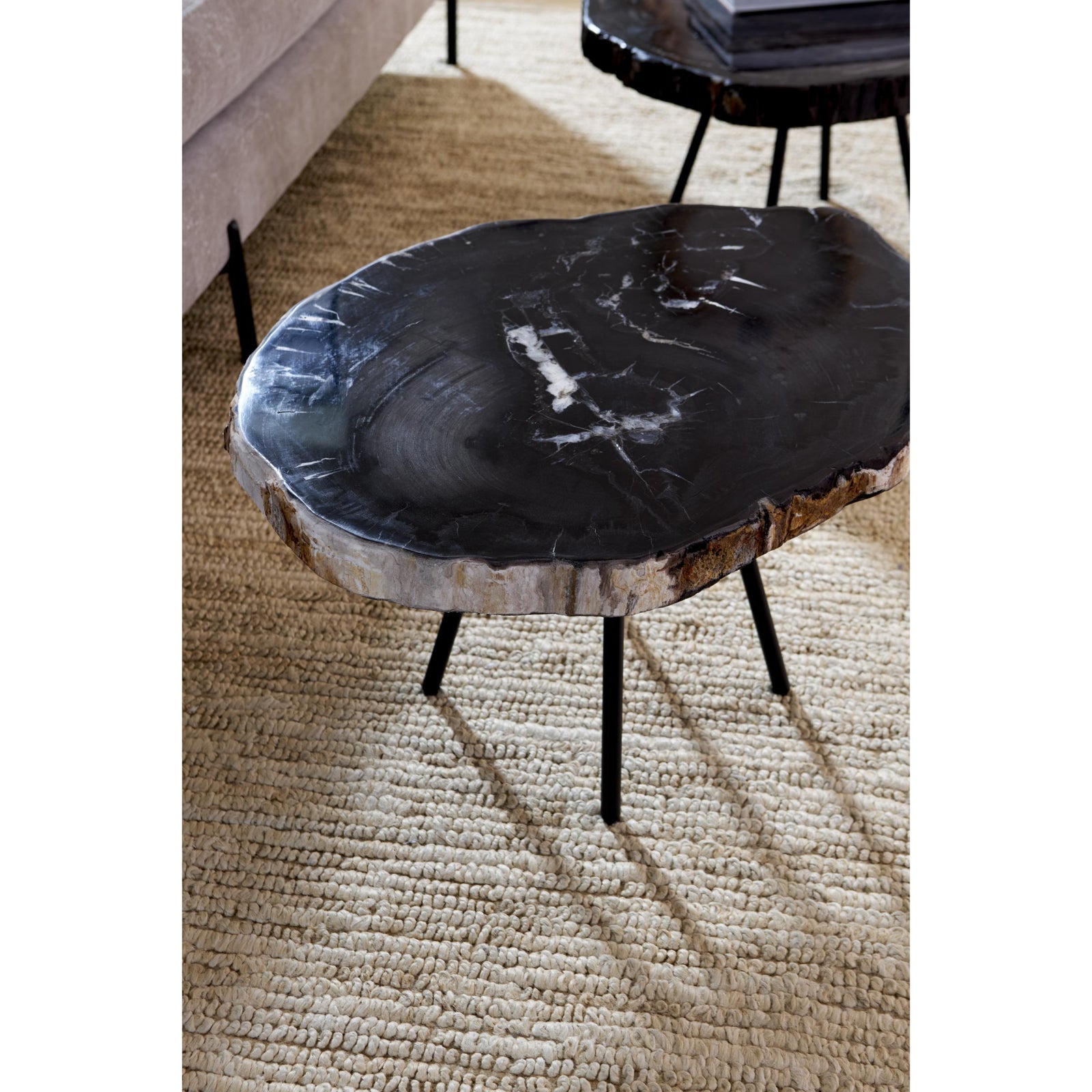 Petrified Coffee Table