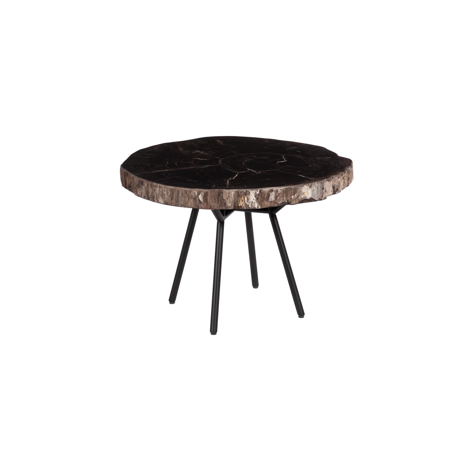 Petrified Coffee Table