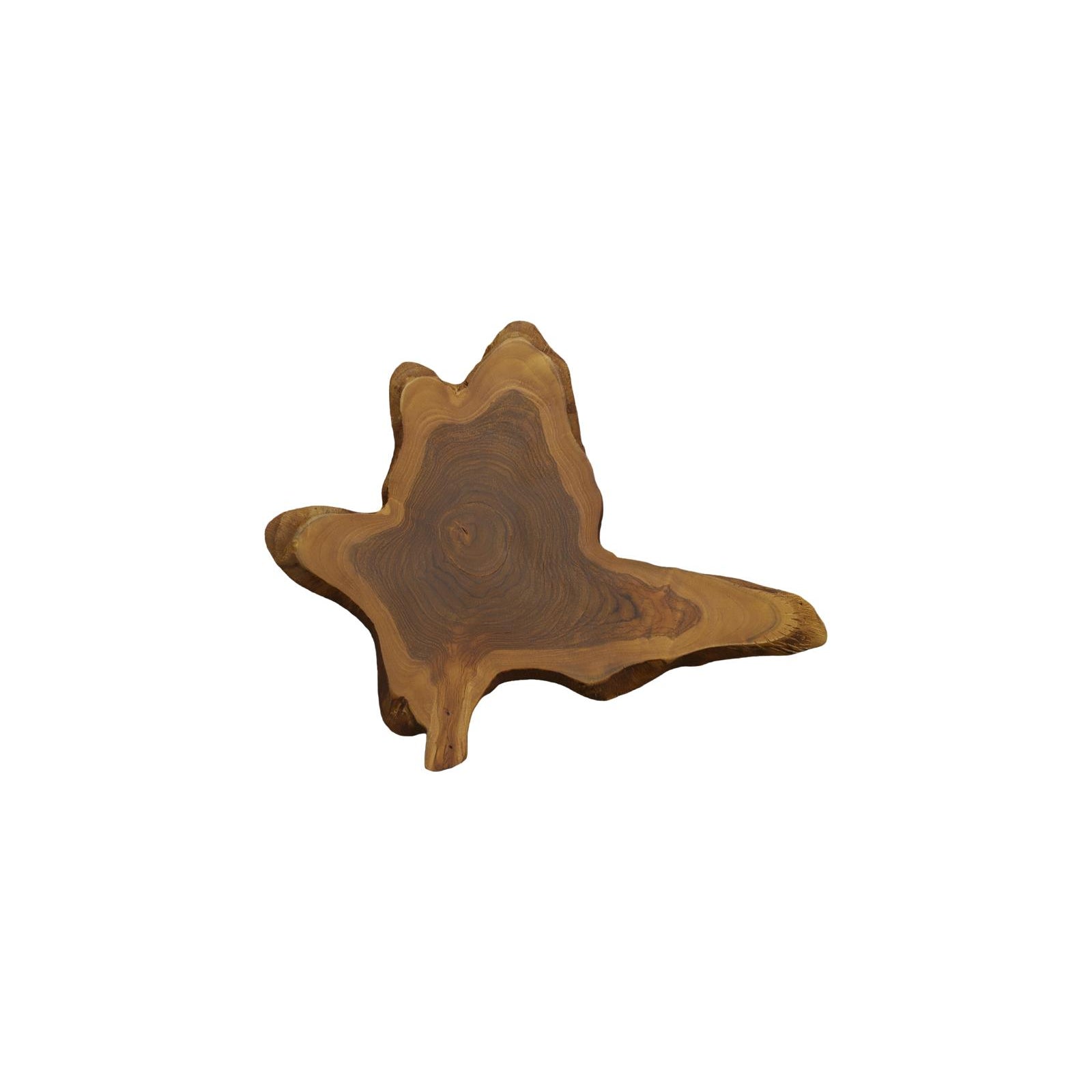 Freeform Teak Wall Slice