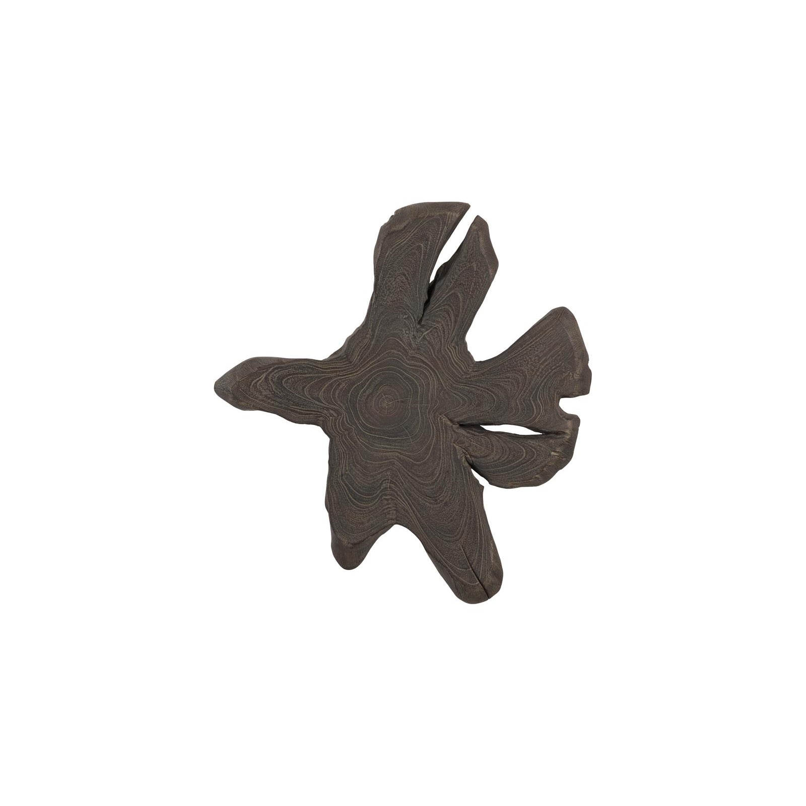 Freeform Teak Wall Slice