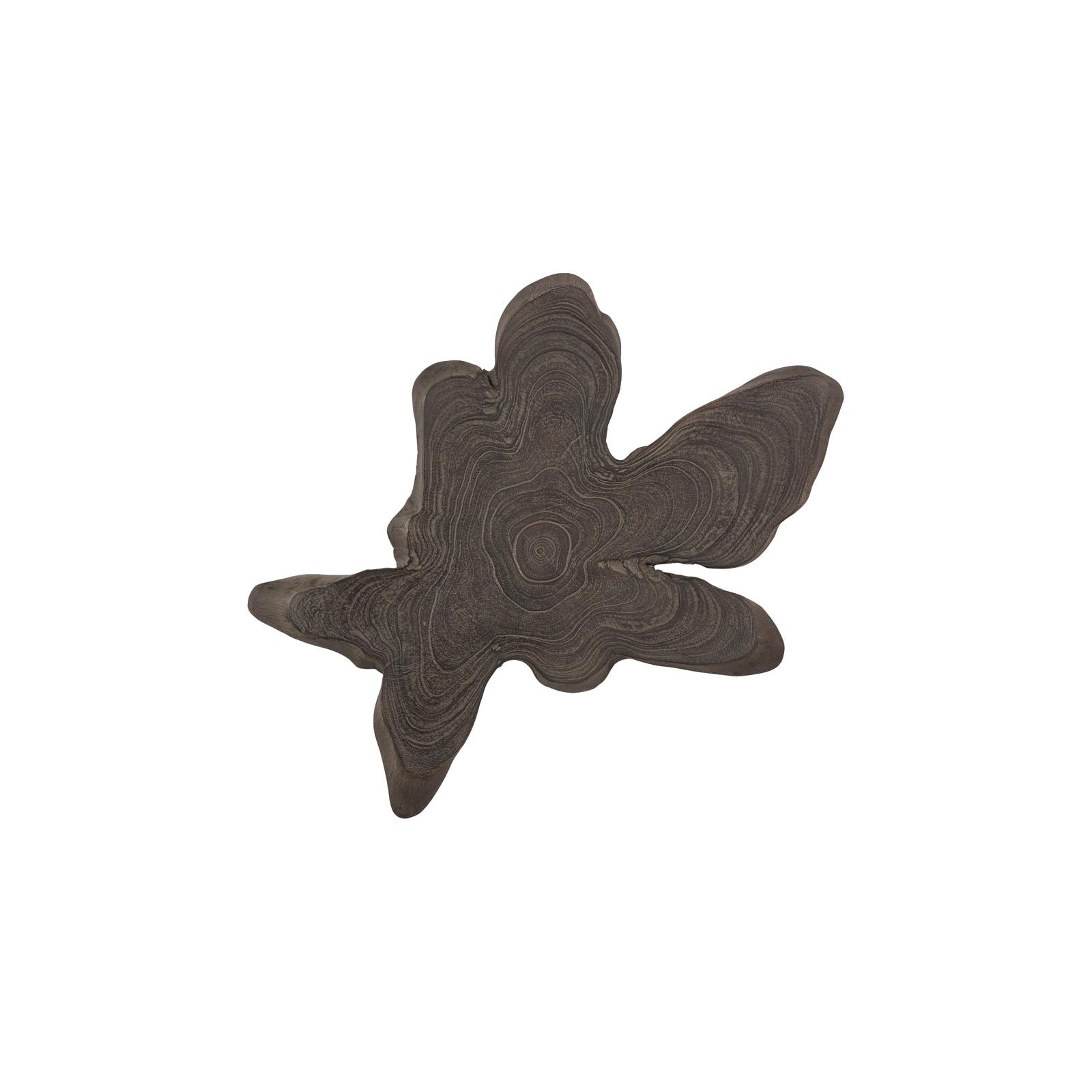 Freeform Teak Wall Slice
