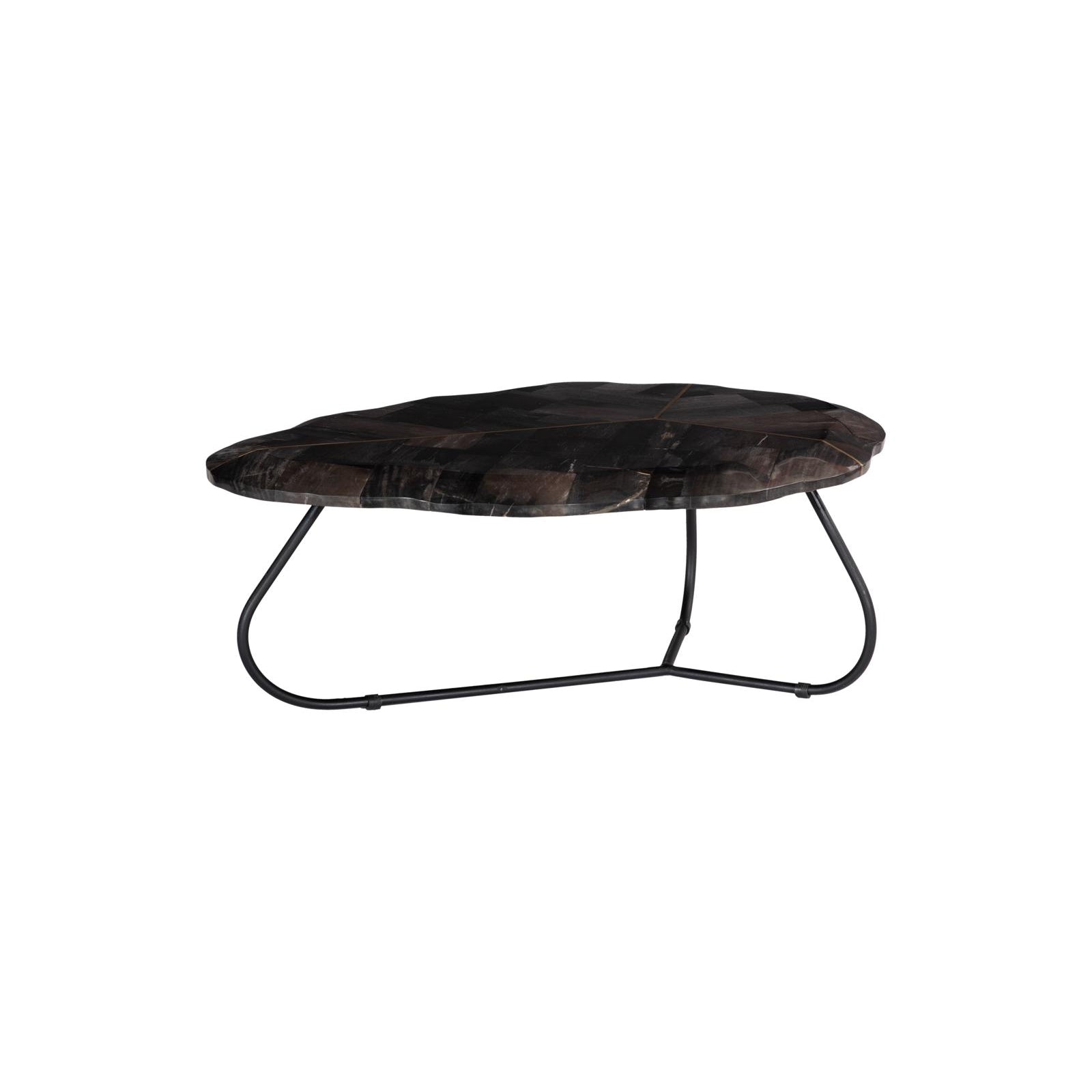 Mosaic Leaf Petrified Coffee Table