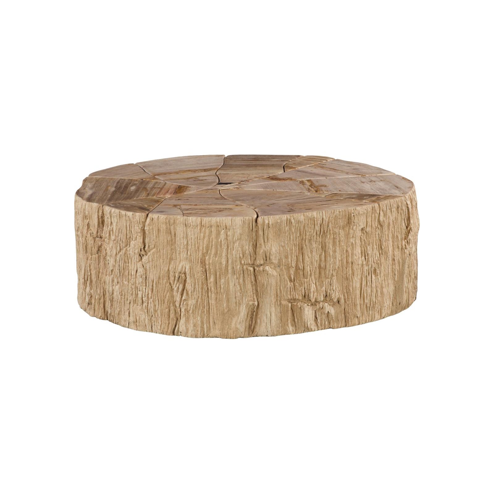 Converge Petrified Coffee Table